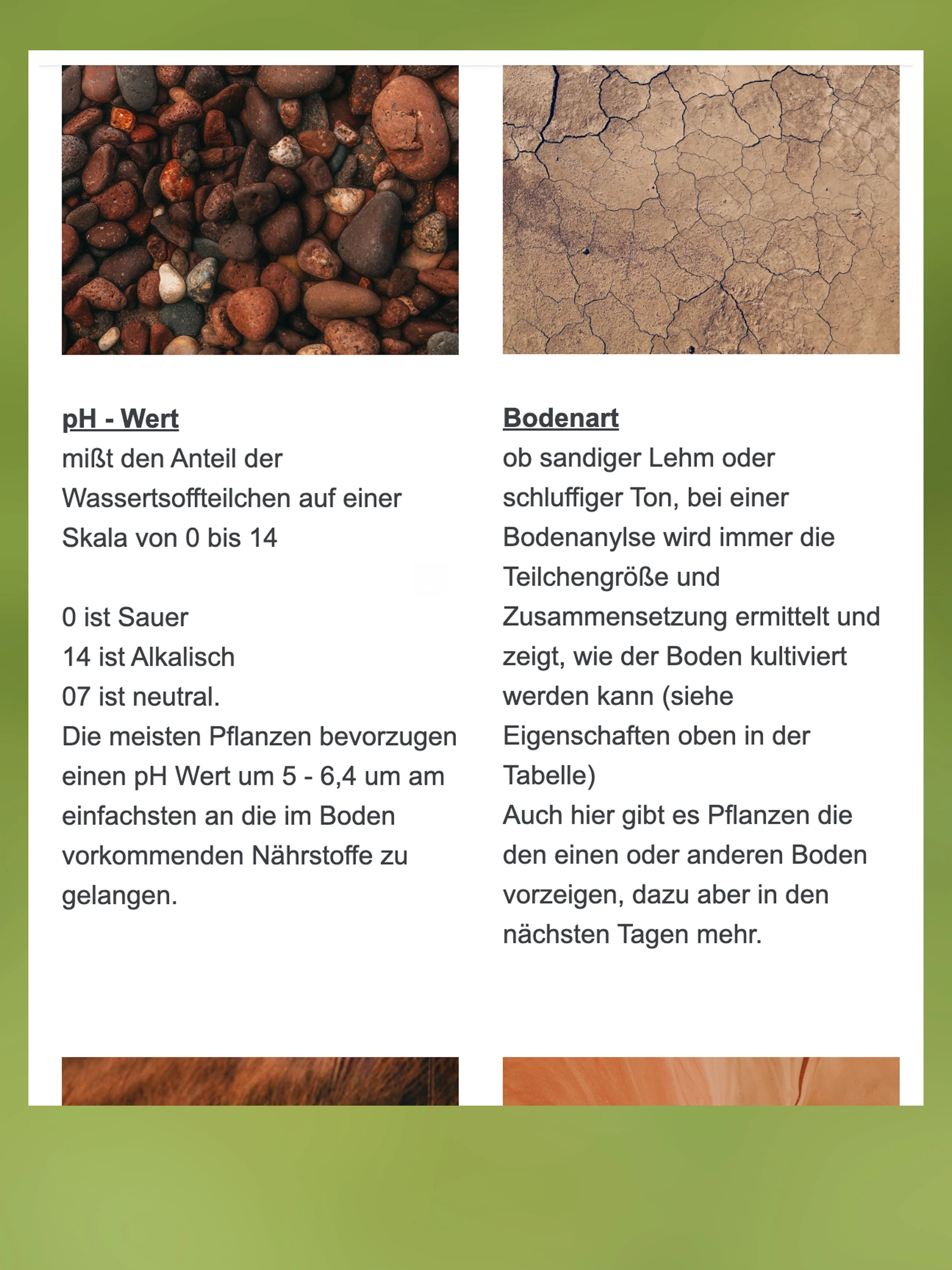 Einbliik 3.jpg