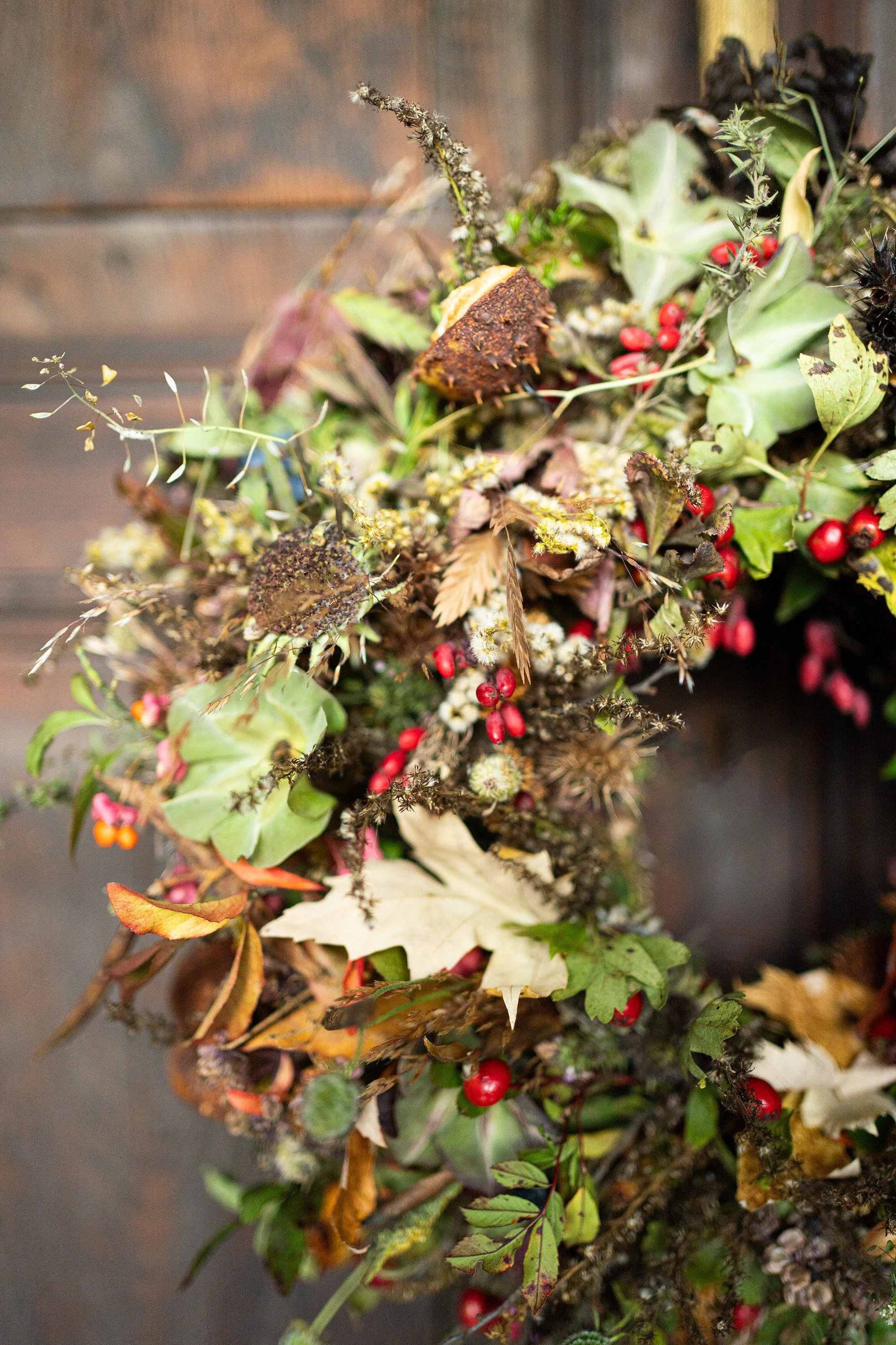 HerbstKRanzDetail.jpg