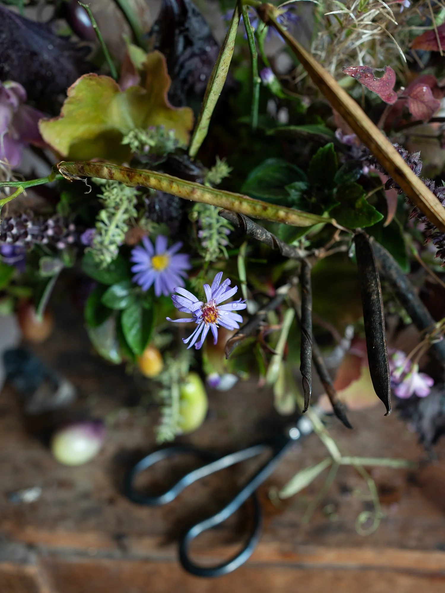AutumnEquinox_SmallDSC08157.jpg