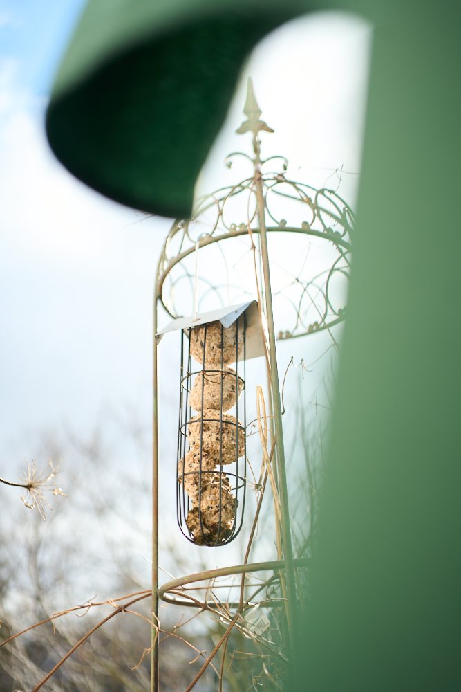 Balcony Feb8 2026_Small_by Sebastian ConradDSC00164.jpg