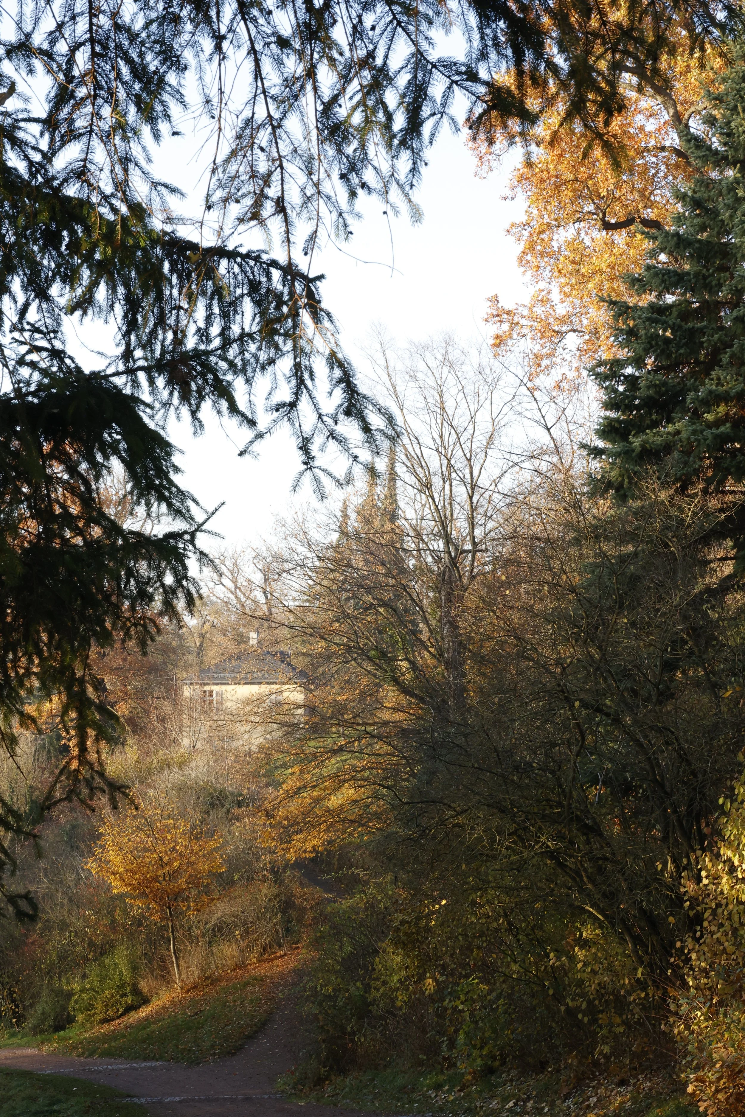 _A8A4472.JPG