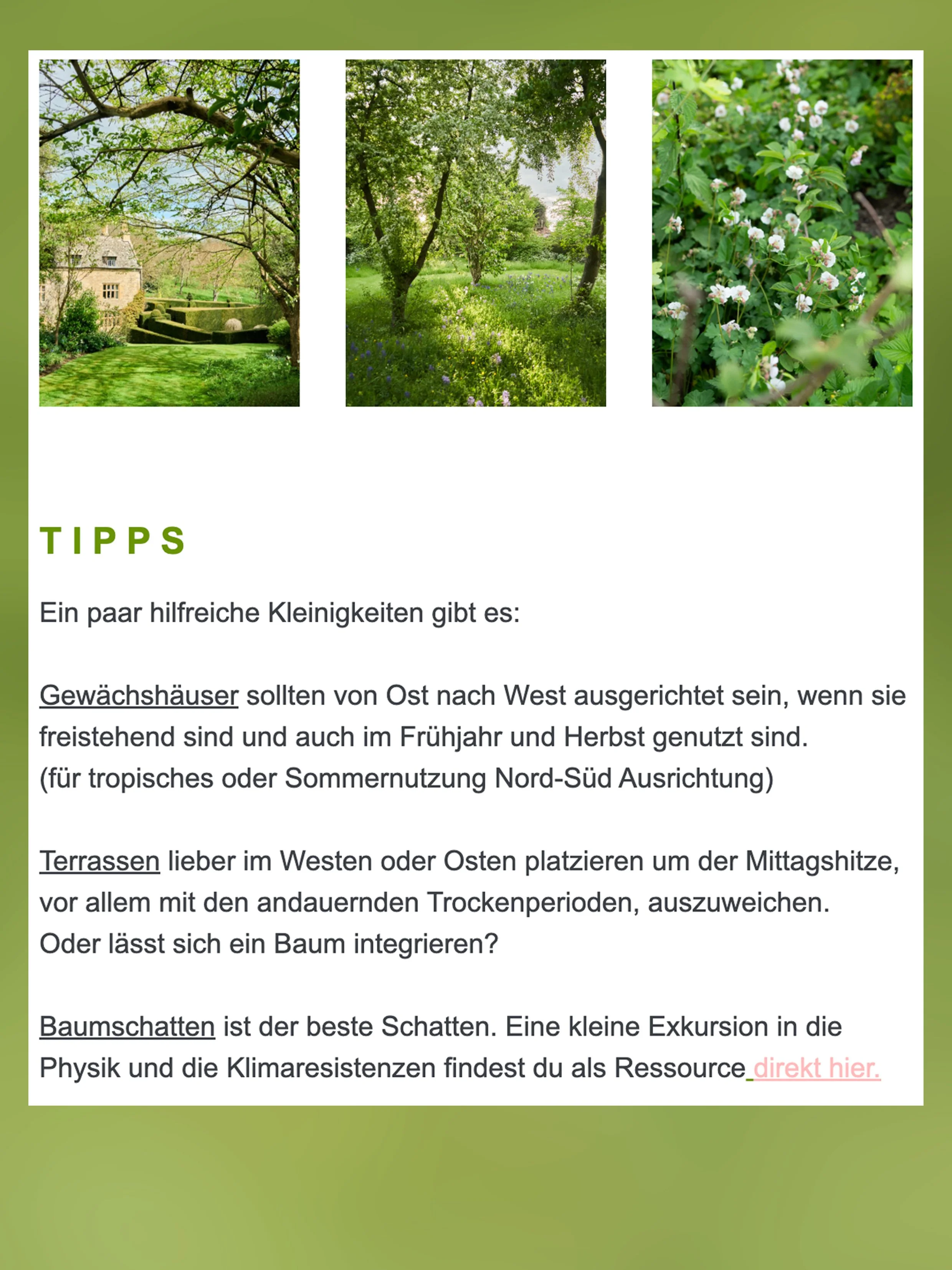 Auszug1.jpg