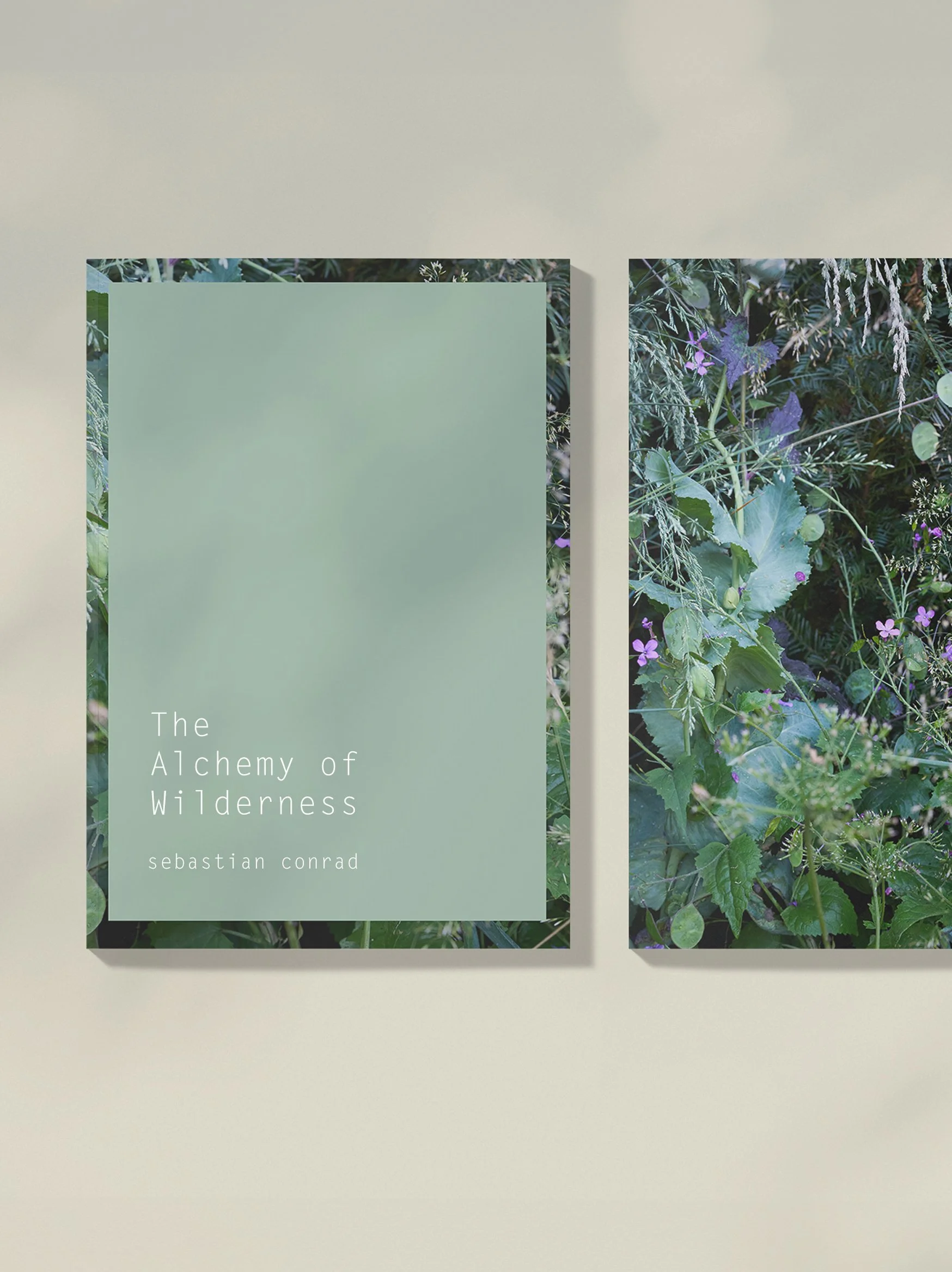 Cover IG Post.jpg