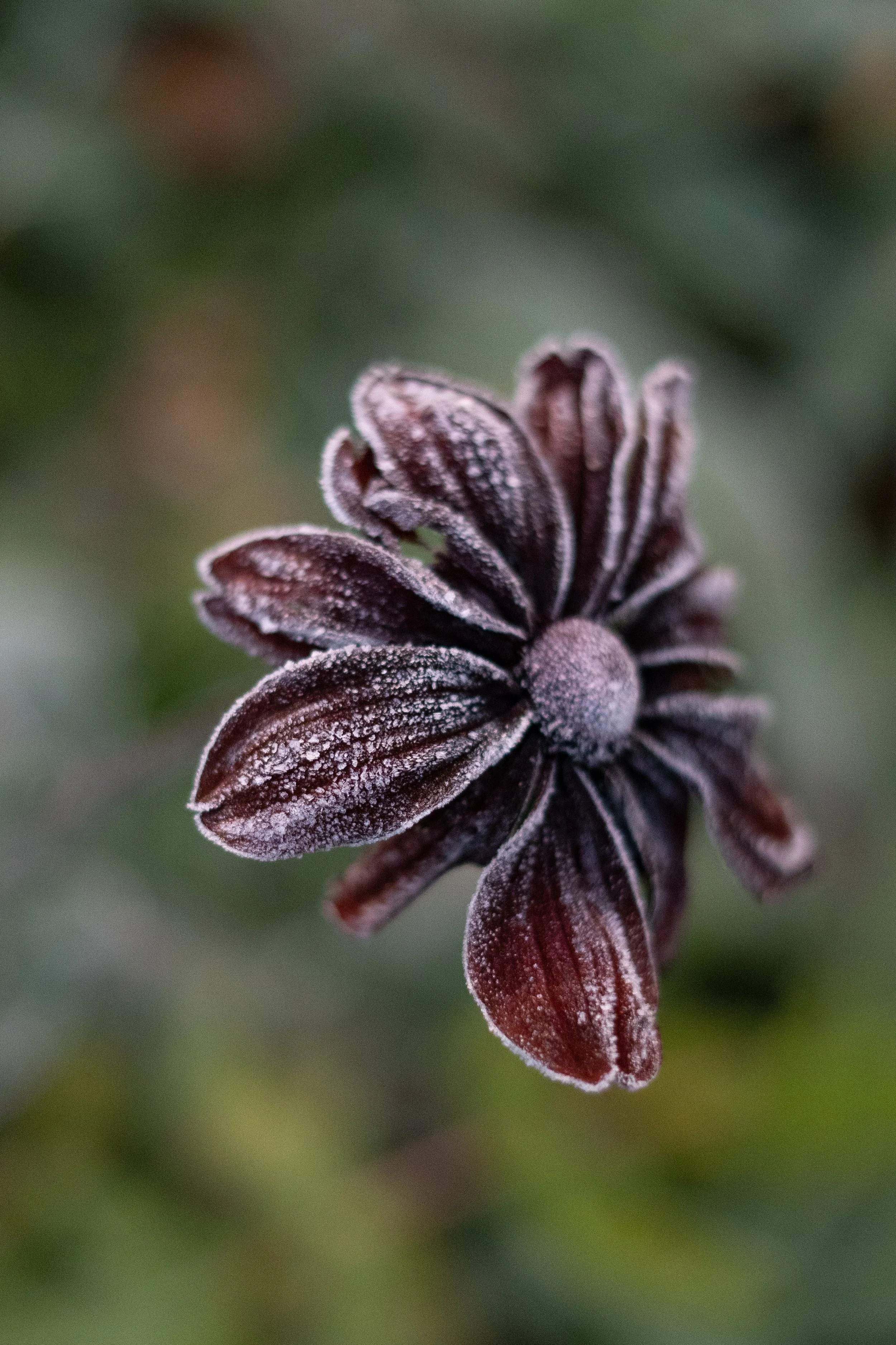 Landstreich_Autumn-09685.jpg