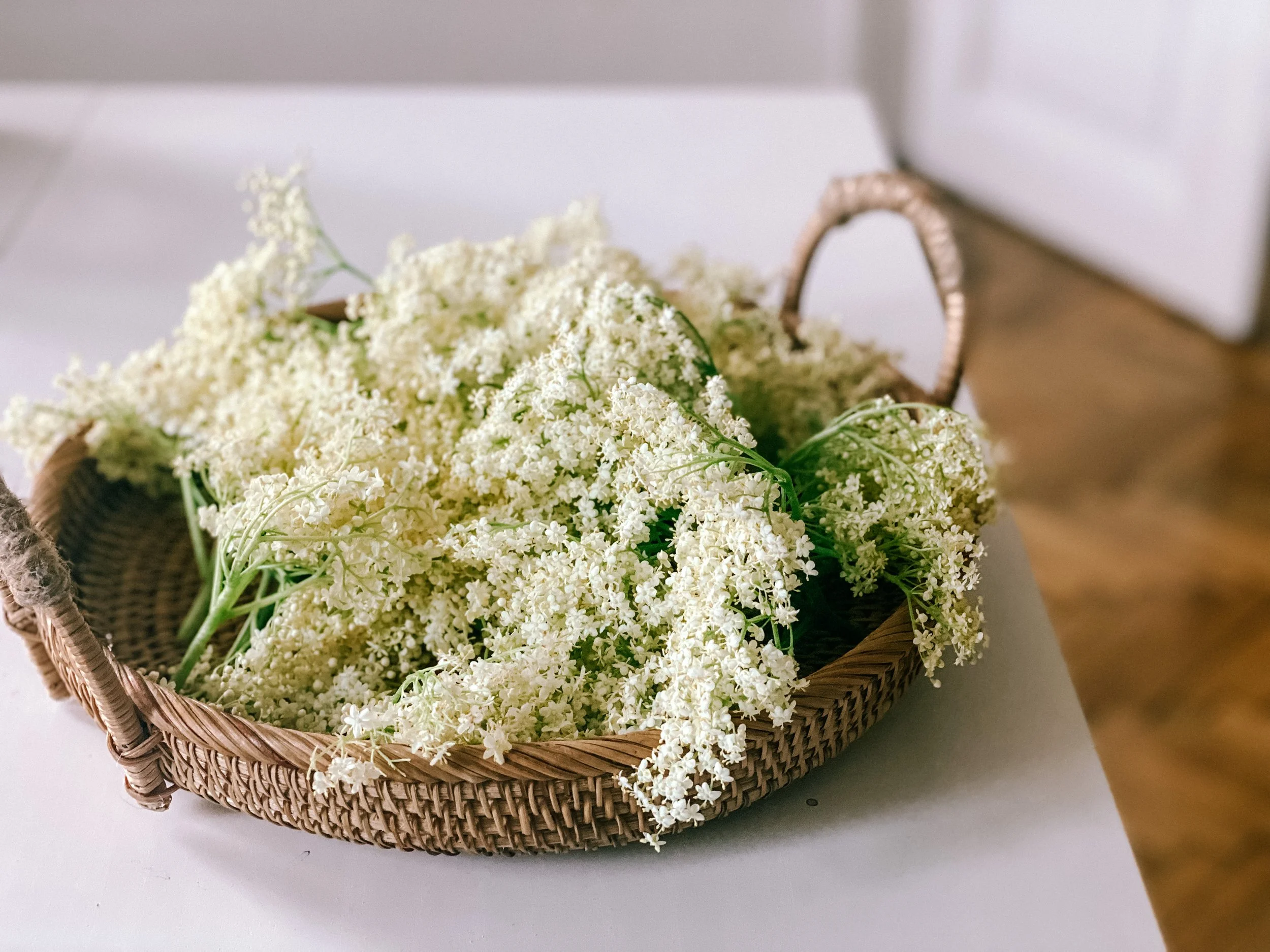 Elderflower Syrup
