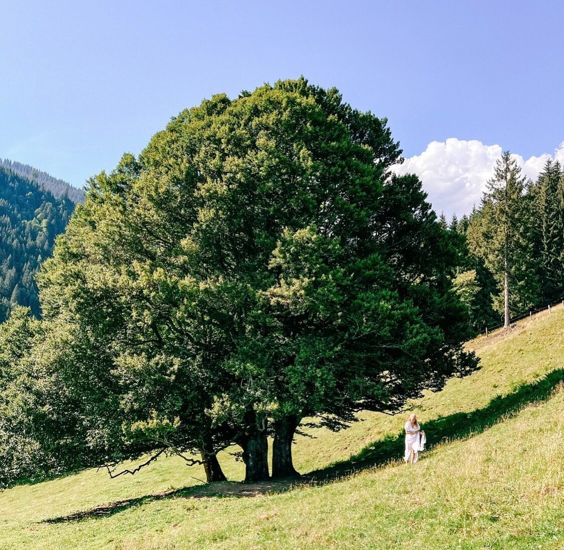 &bdquo;I take my new lover to the earth first to see how they love my mother. 
Do they talk to the trees, 
do they whisper to leaves 
and pause to tell me about the beauty they see&hellip;
or do they race to the peak without blinking an eye, 
do they