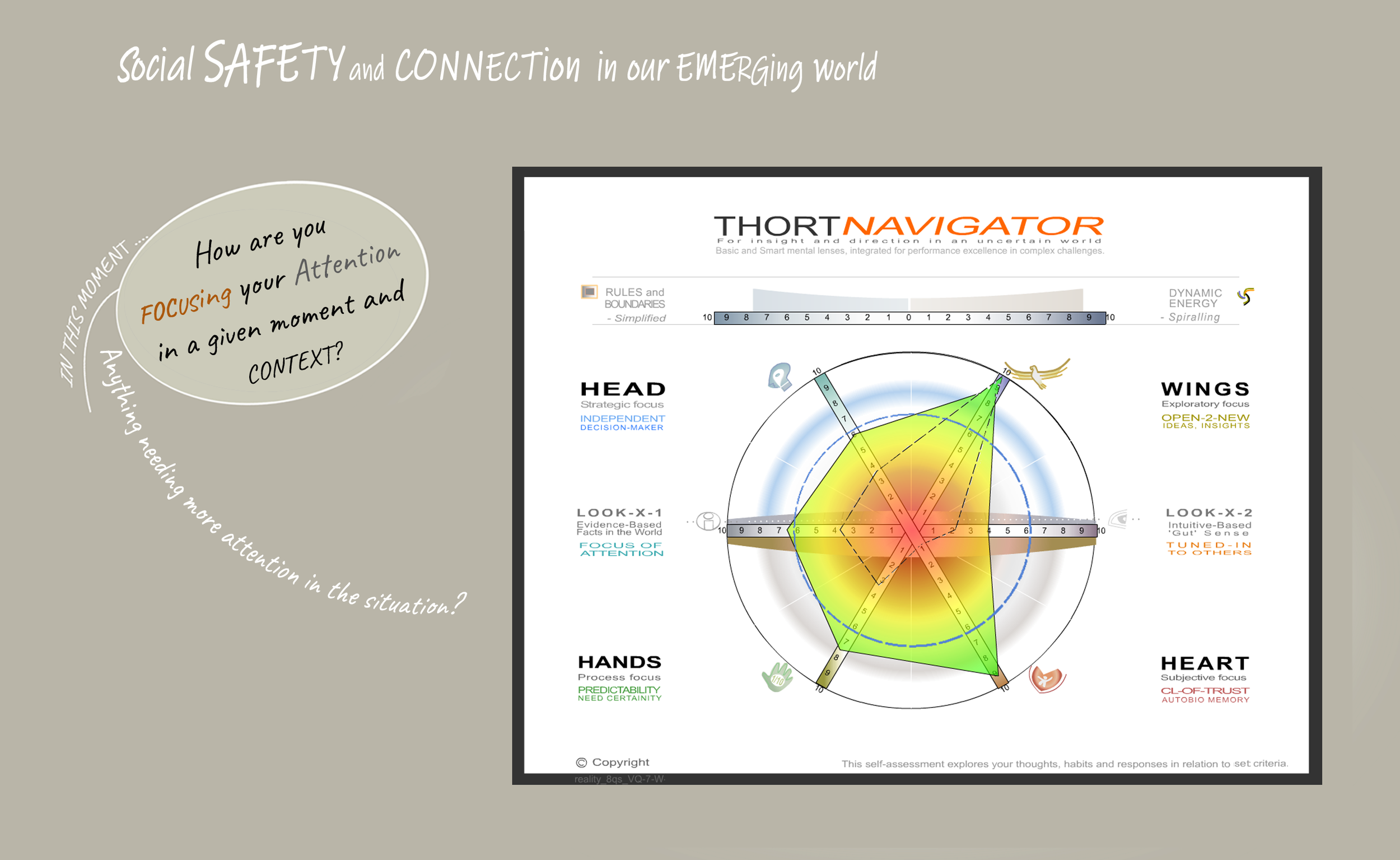 3VAGAL -thortMAP-.PNG