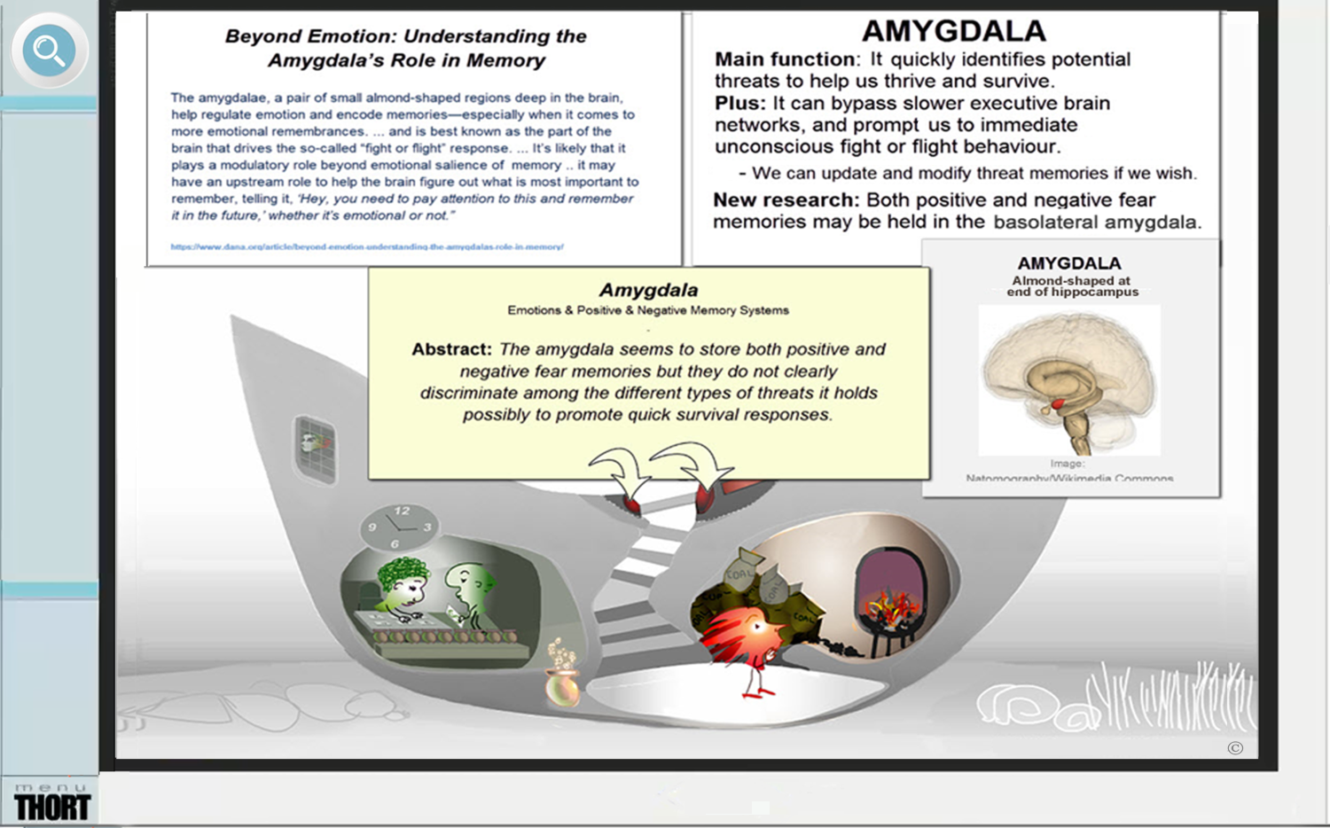 Neuro-5-Amygdala-2.png