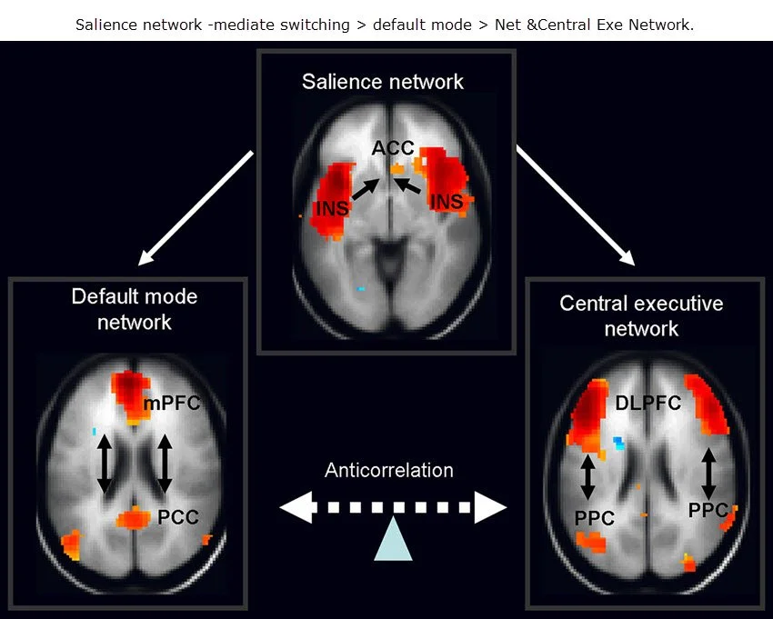 salience network -mediate switching - defaultmode Net &Central Exe Network..jpg