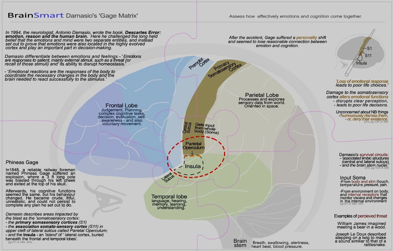 Damasios+Gage+Matrix-1a.jpg