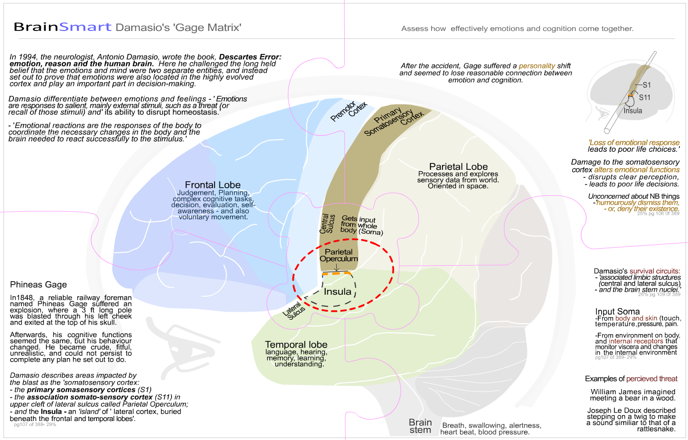 Damasios Gage Matrix-1a.png