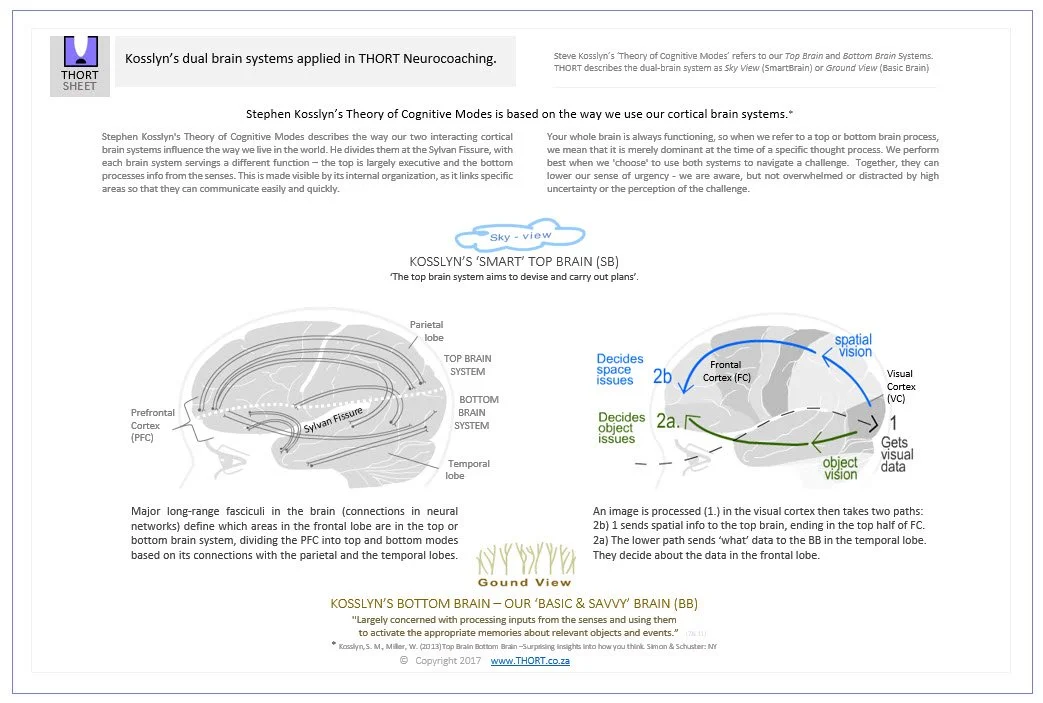 THORTSheet-Kosslyn-X2BrainSystems.jpg