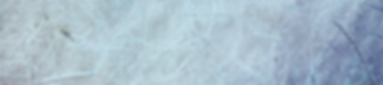 rice paer mauve white.png