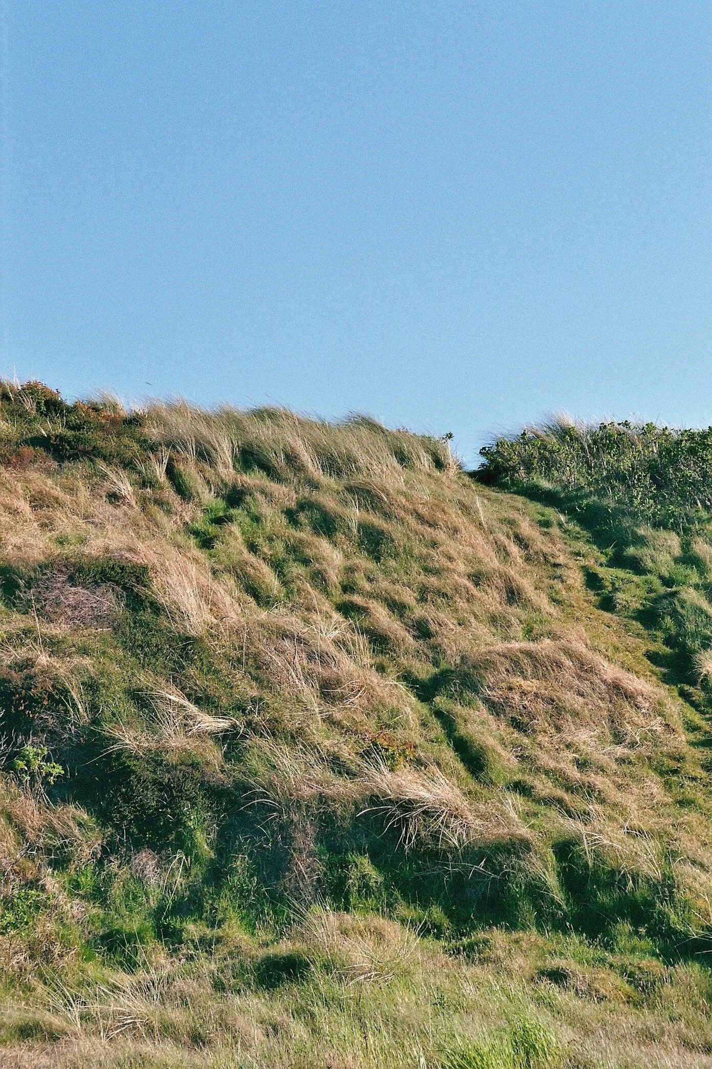 Antonia Glatzel Captures Berlin, The North Sea and The German Alps