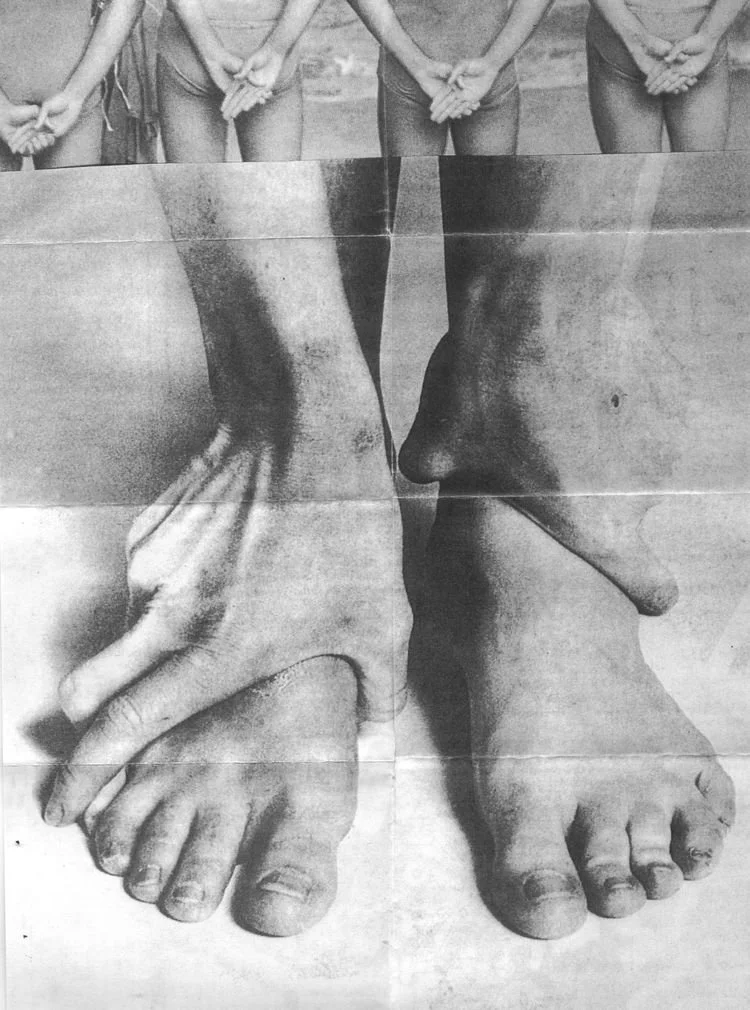 67.JPG