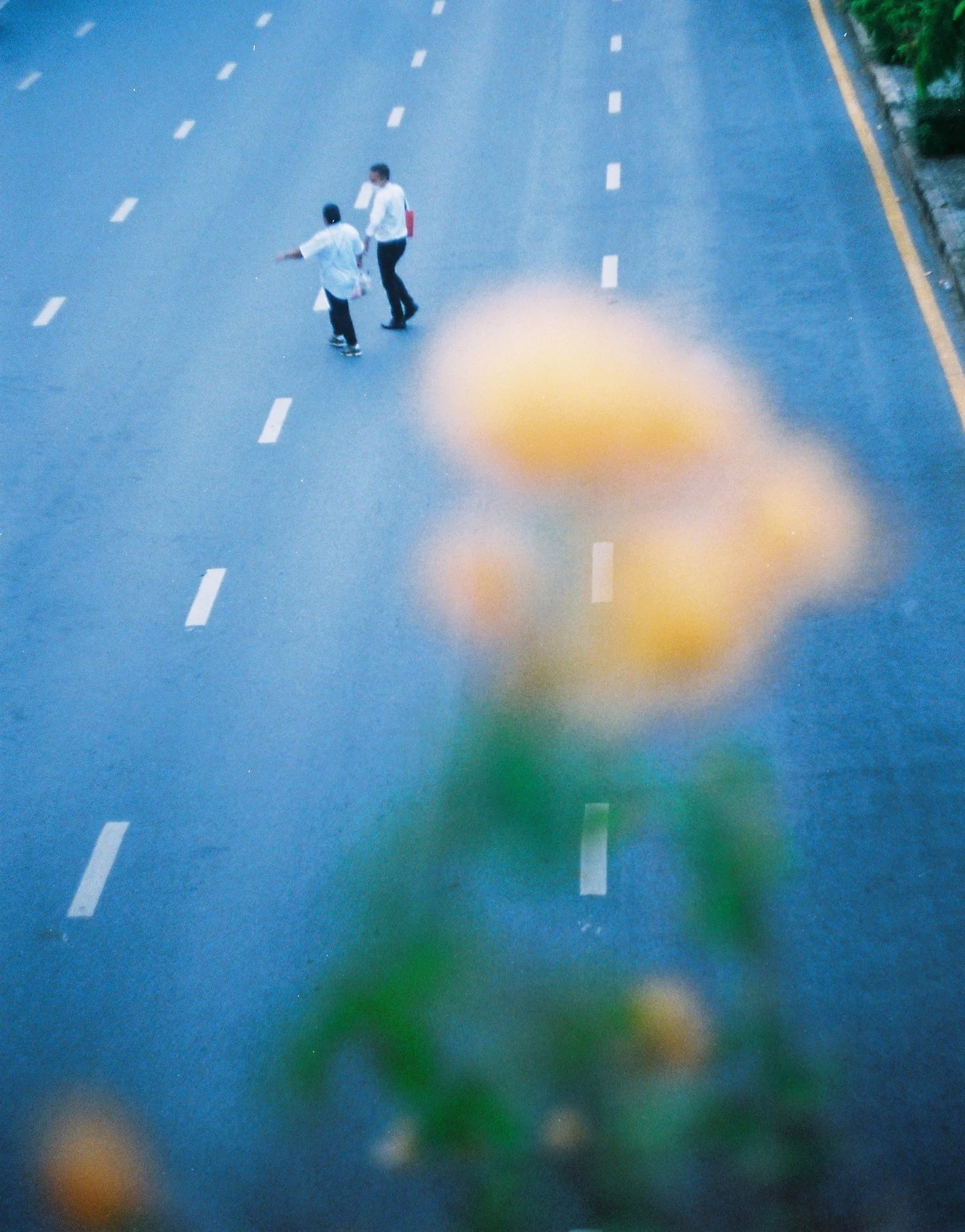 José Martí, Poetry, and Cuban Culture: A Journey of Self-Reflection