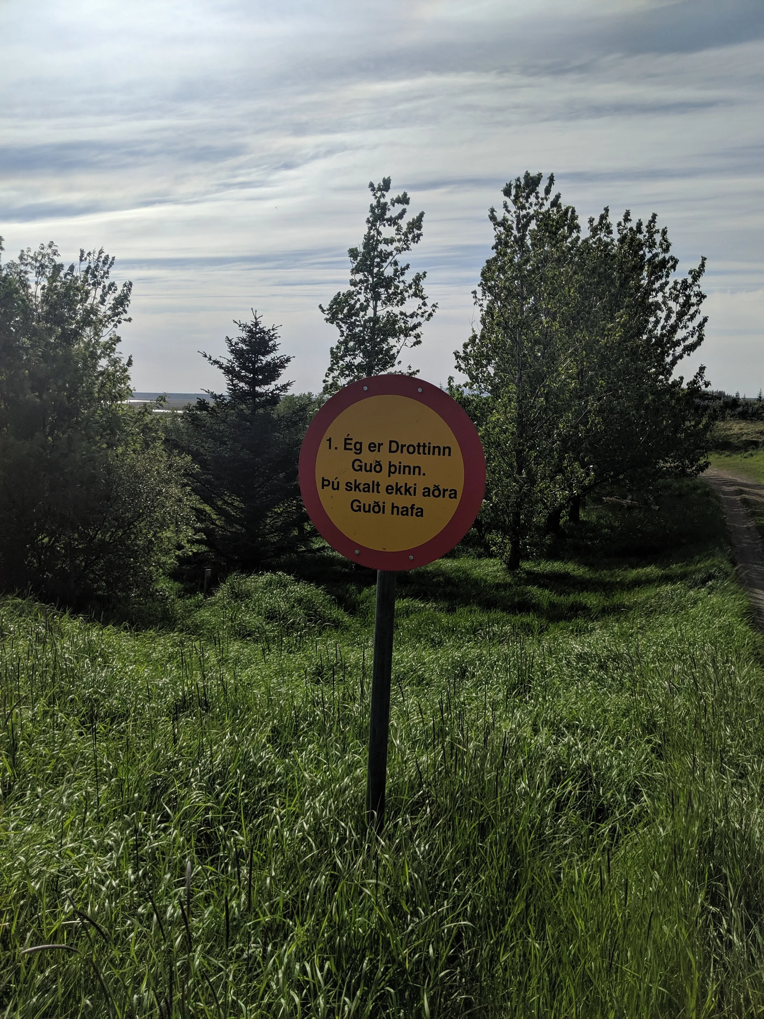 IMG_20190607_171516.jpg