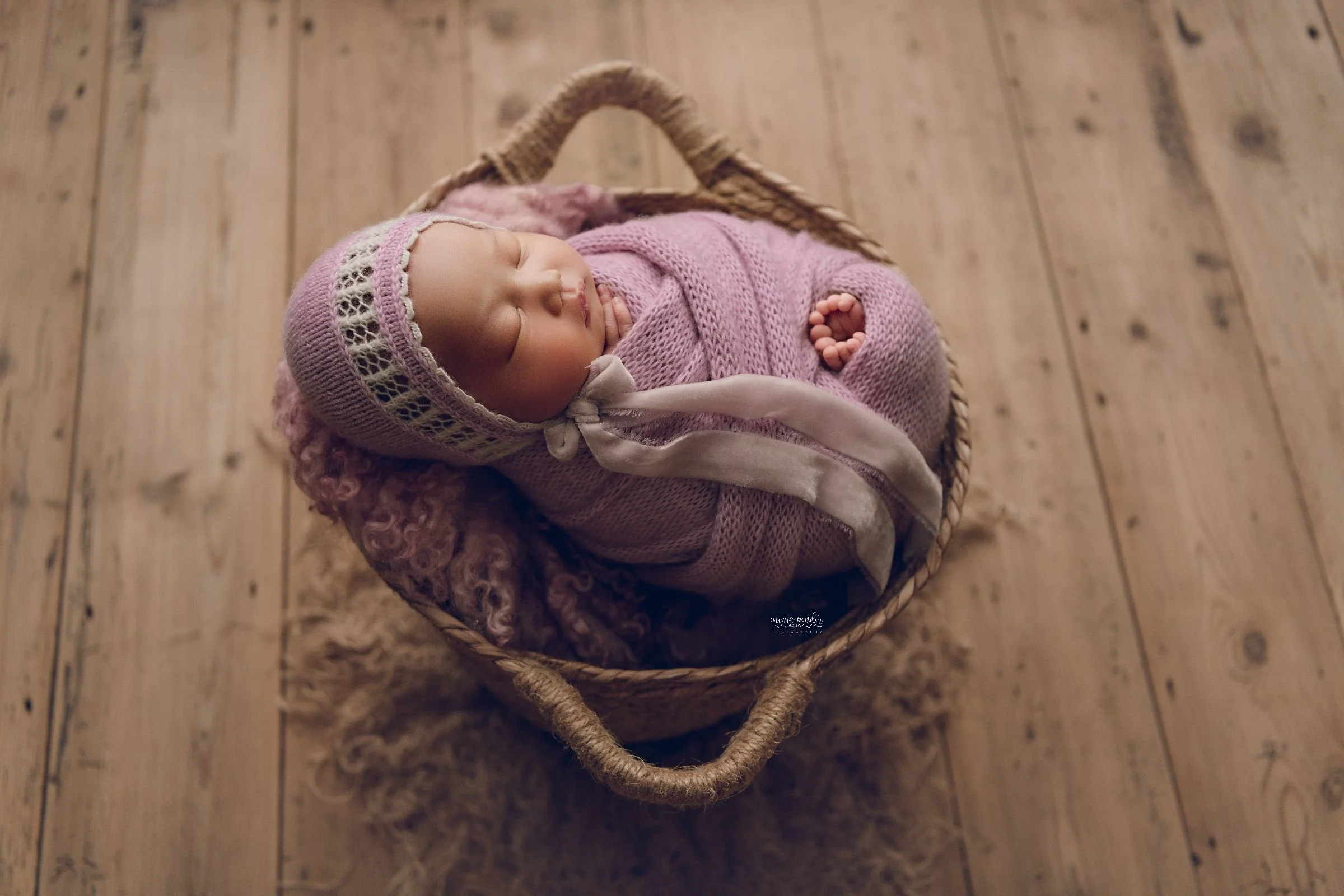 jpeg-optimizer__DSC1248-website.jpg