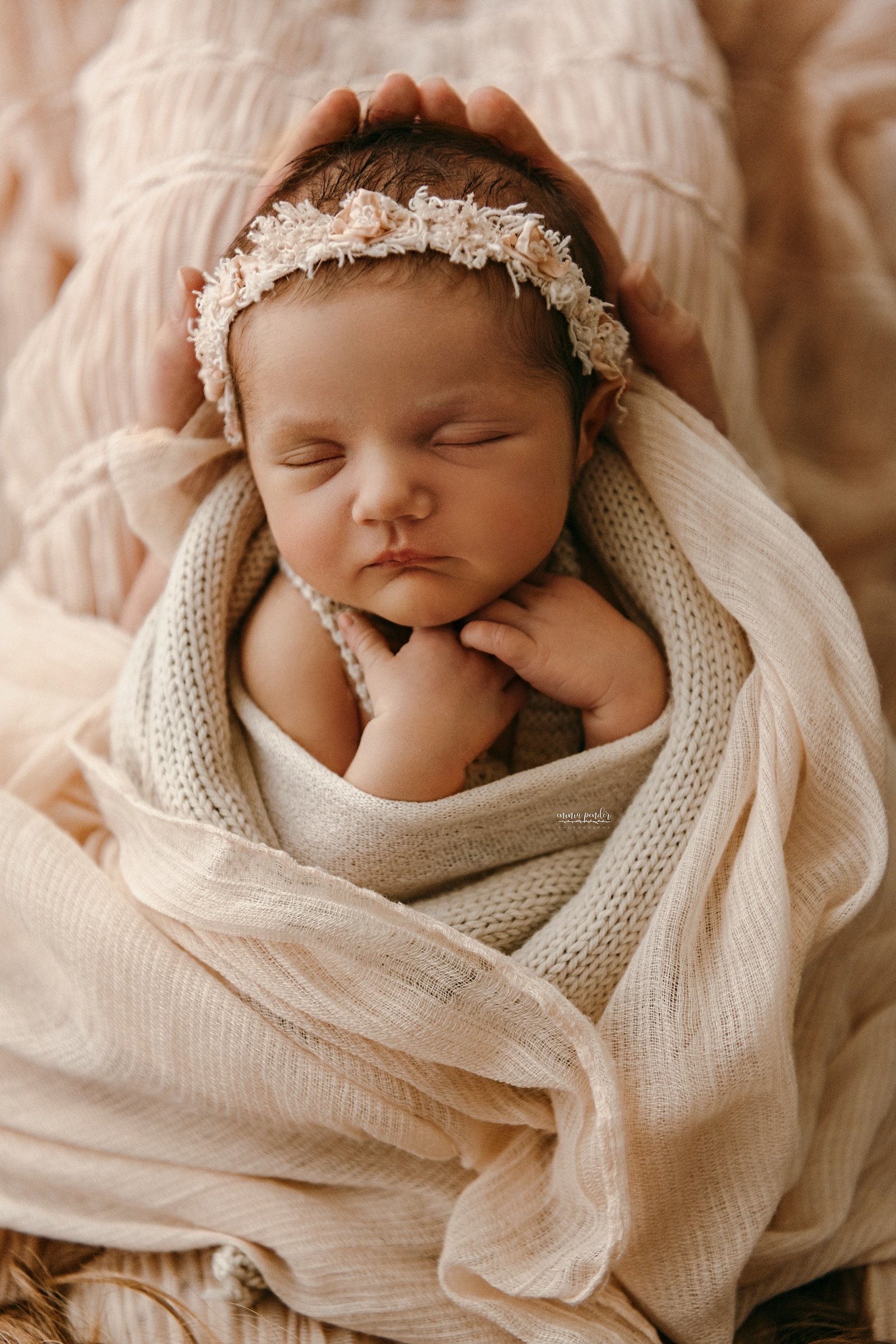 Melbourne Newborn Photographer | Emma Pender Photography 