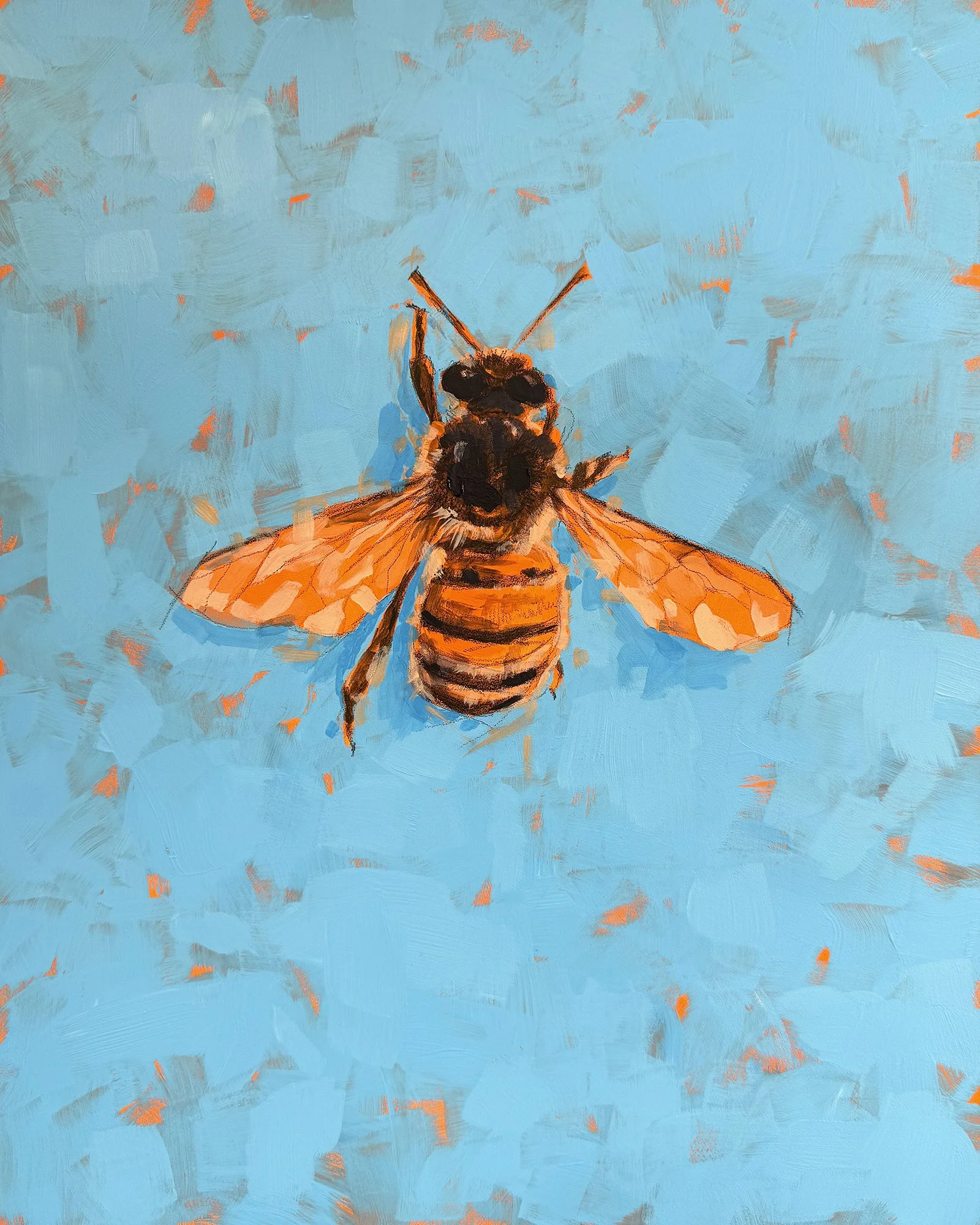 Bee on Blue