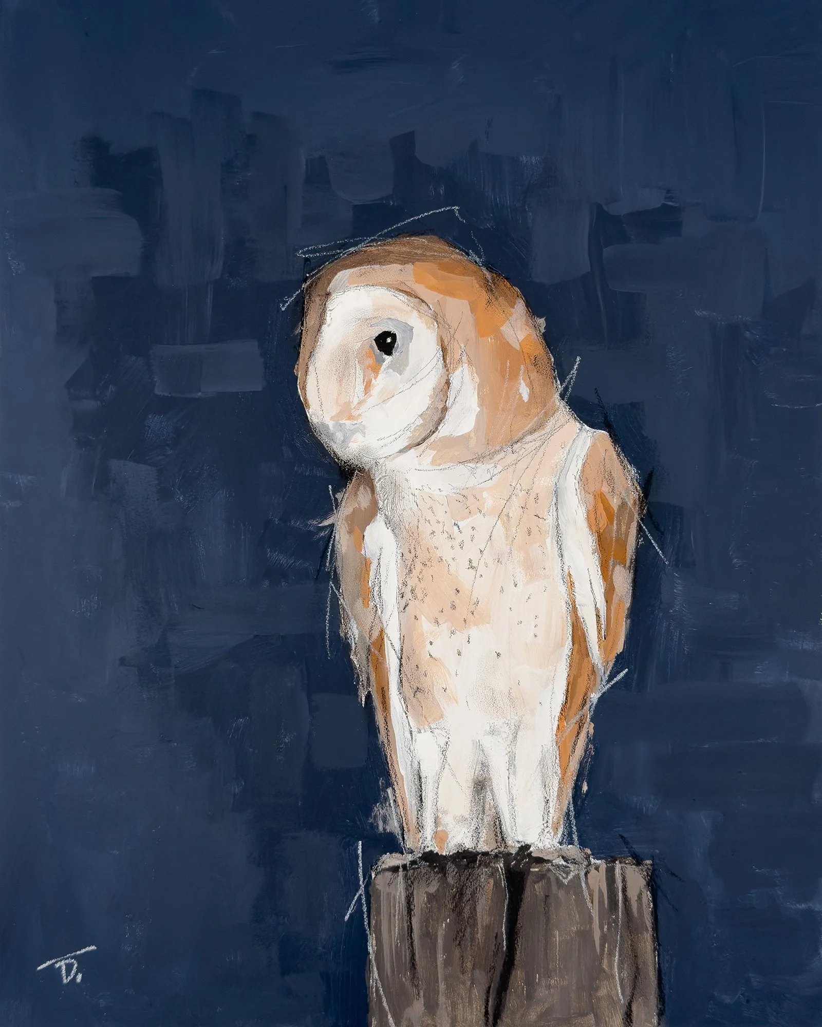 BarnOwl_CROP-WEB.jpg