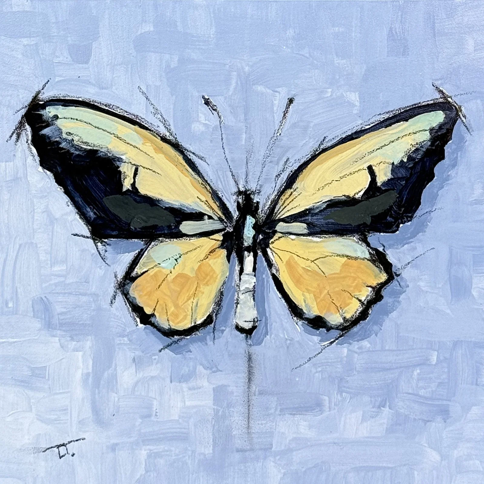 YellowBlackButterfly_Crop-WEB.jpg