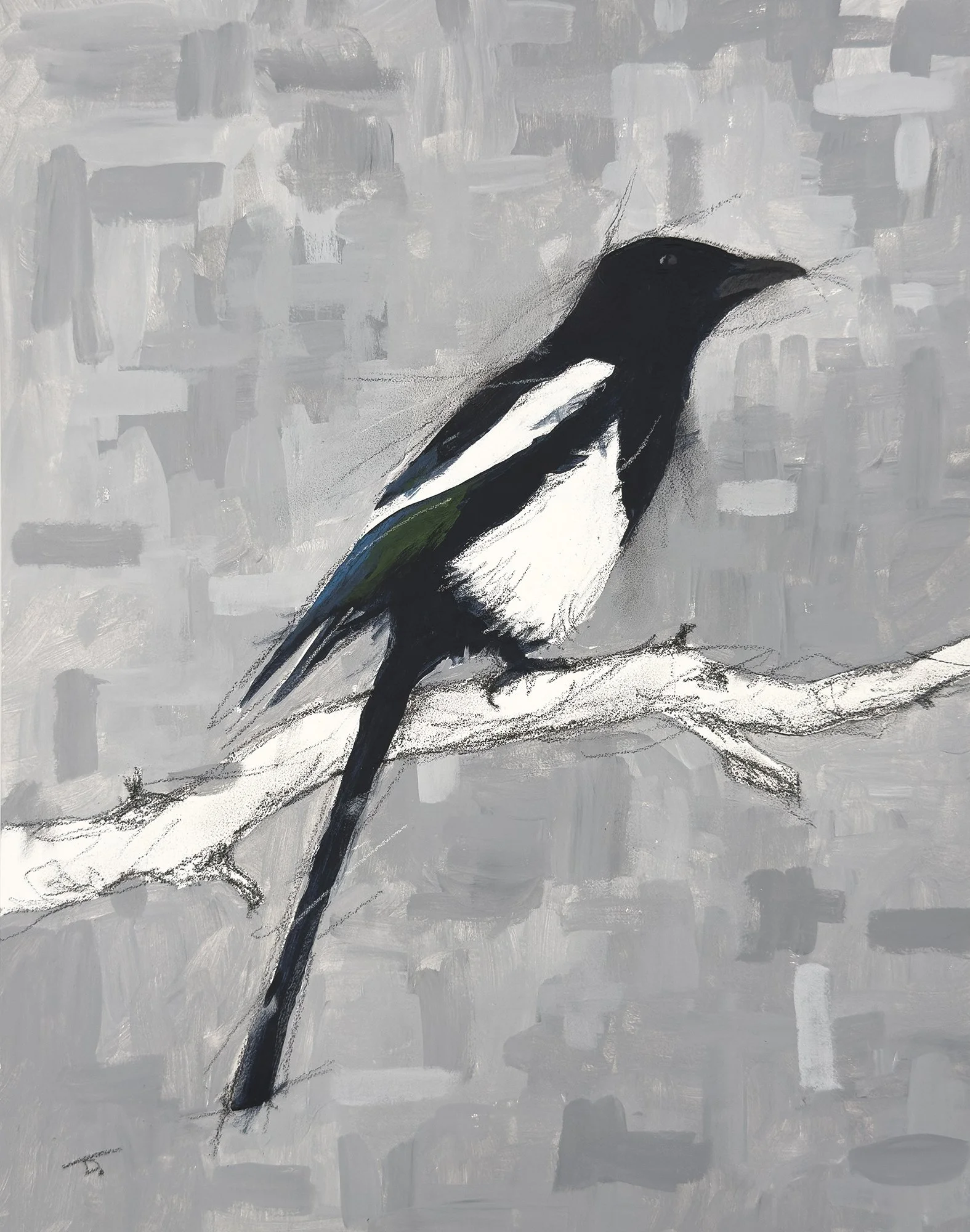 MagpieBranch_CROP-WEB.jpg