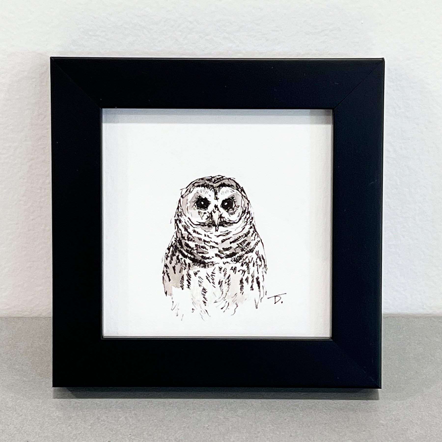 BarredOwl_MINI-Framed-WEB.jpg