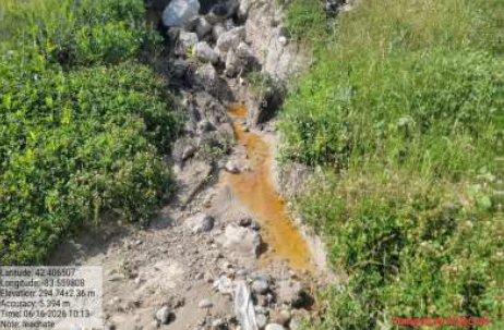 Leachate outbreak.png