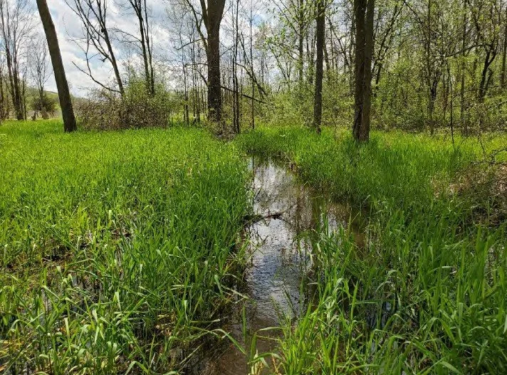 GFL Environmental Files Permit to Destroy 33+ Acres of Wetlands for Proposed Landfill