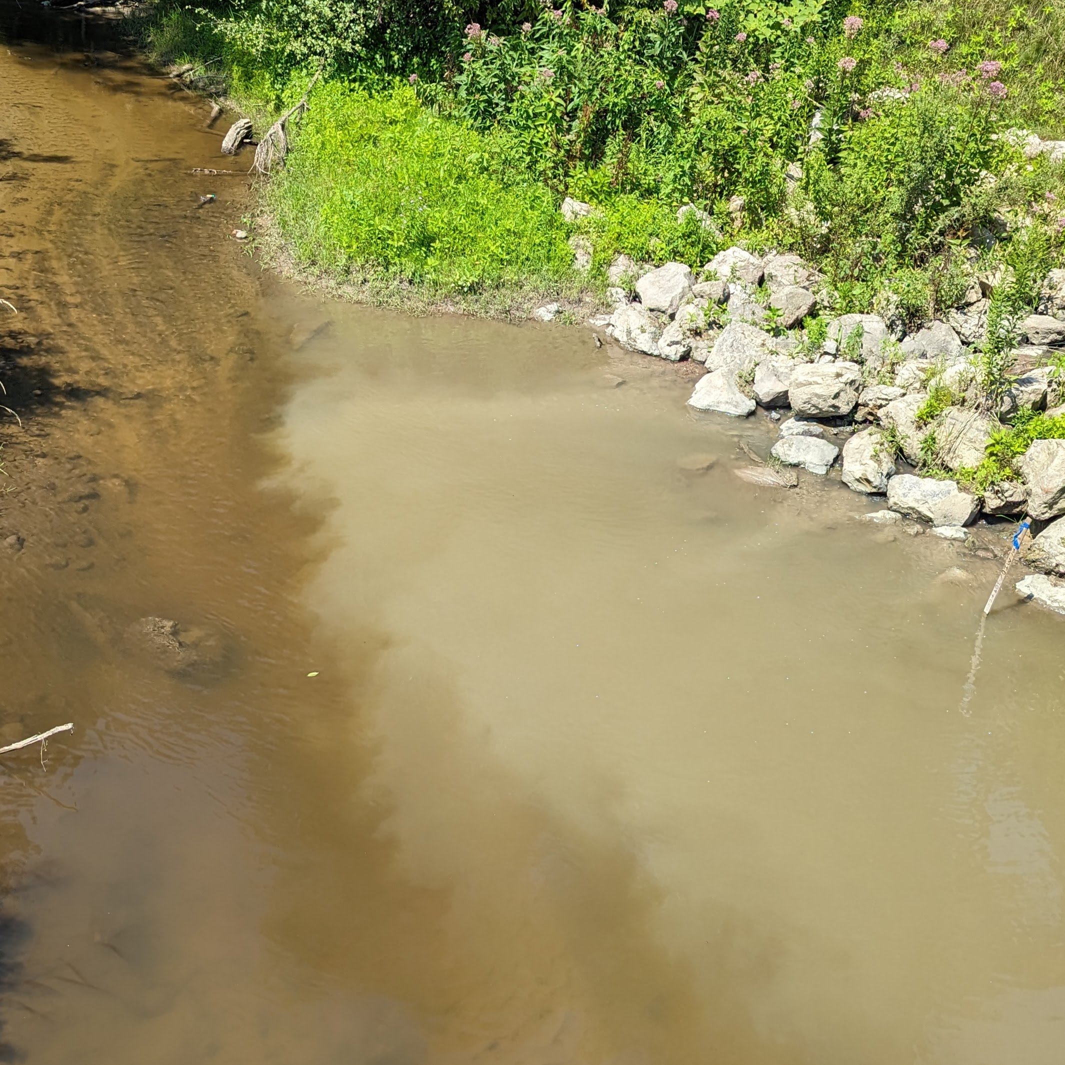 Sediment and Turbidity from Arbor Hills Impacts Johnson Creek — The  Conservancy Initiative