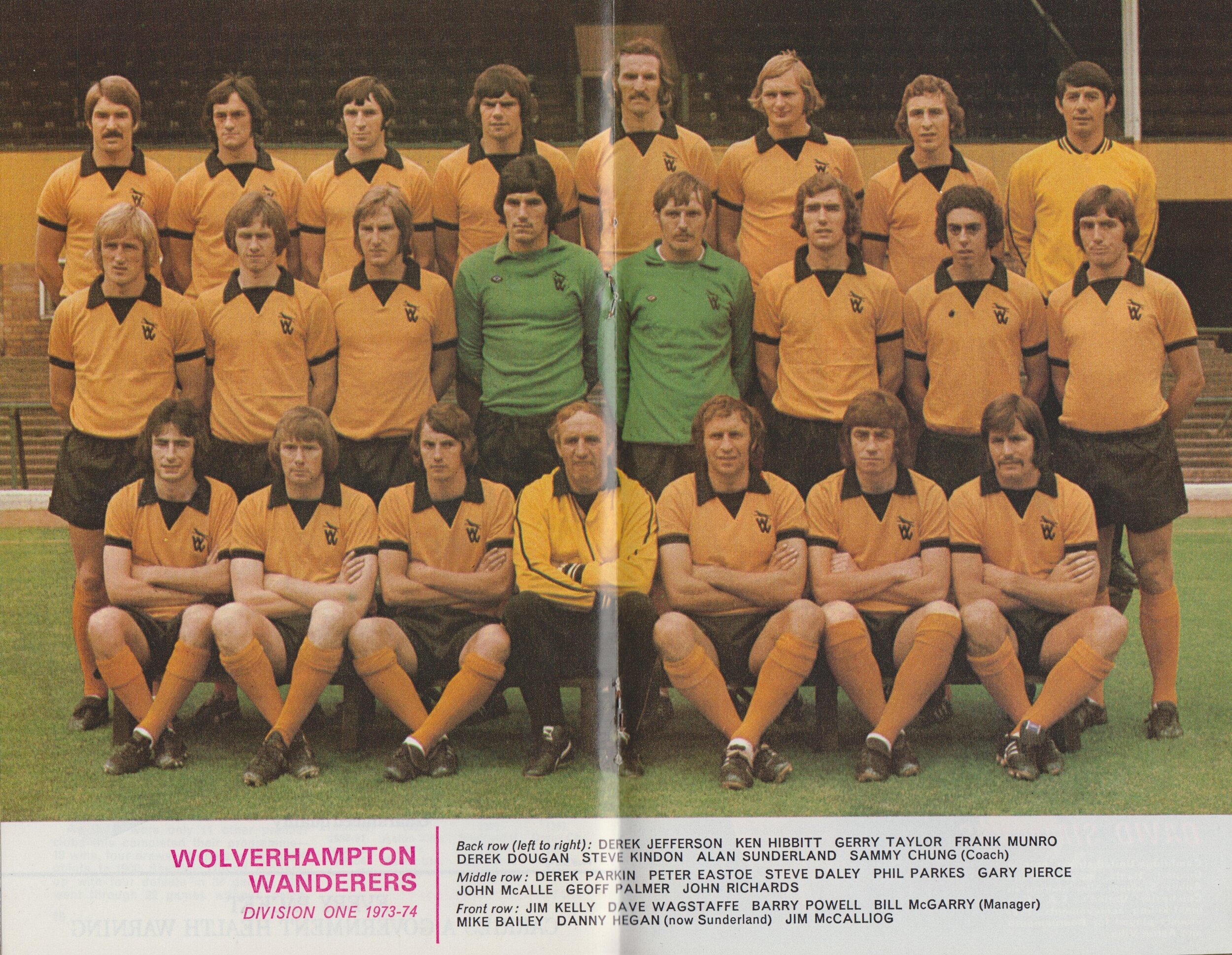 Wolverhampton Wanderers.jpg