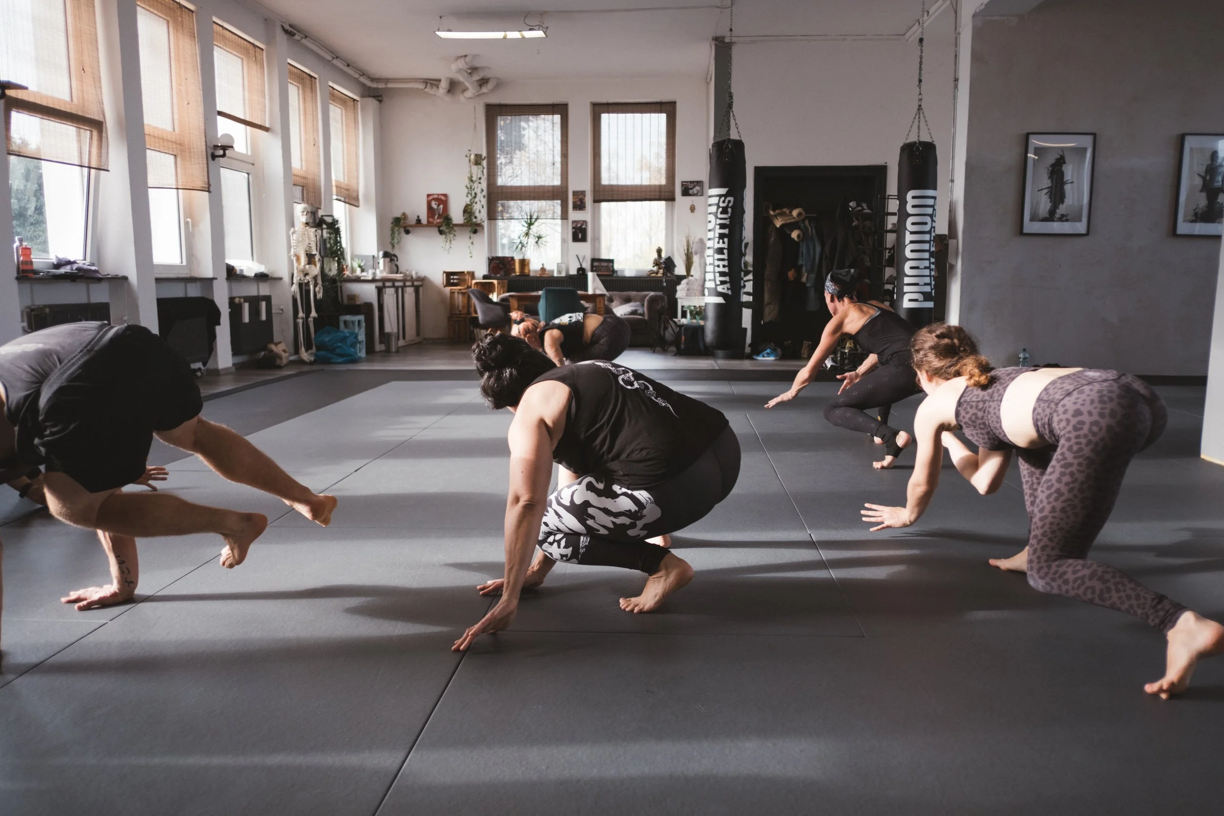 Budokon Animal Moves for  Martial Arts & BJJ