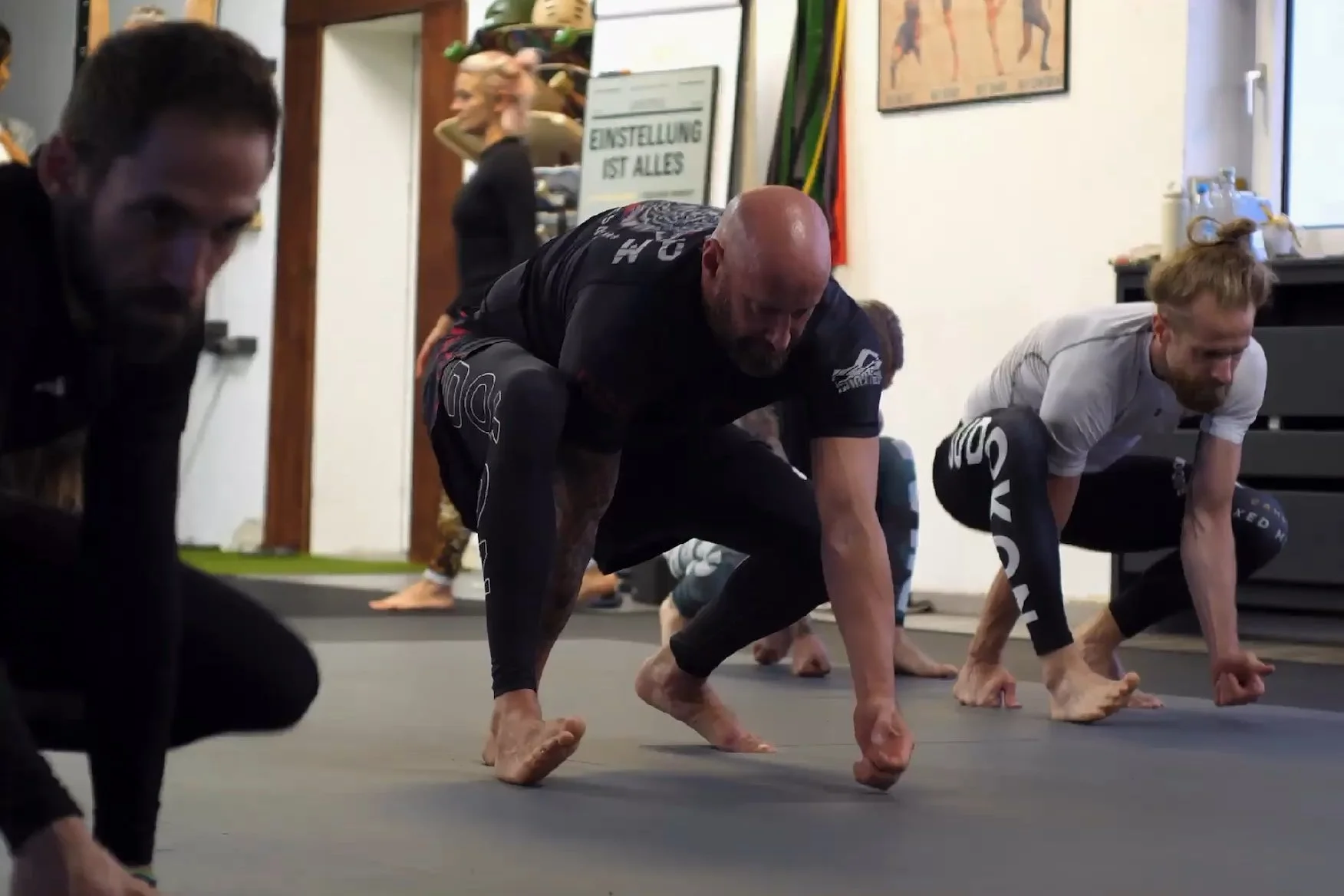 Budokon Animal Moves for  Martial Arts & BJJ