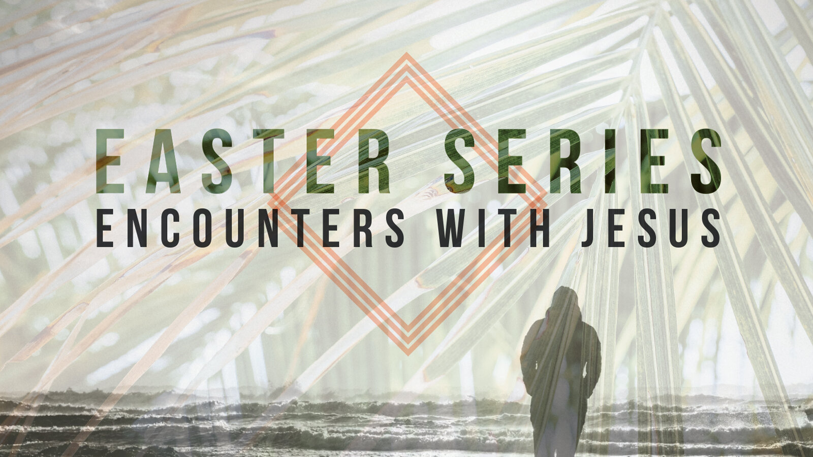 Series: Encounters With Jesus