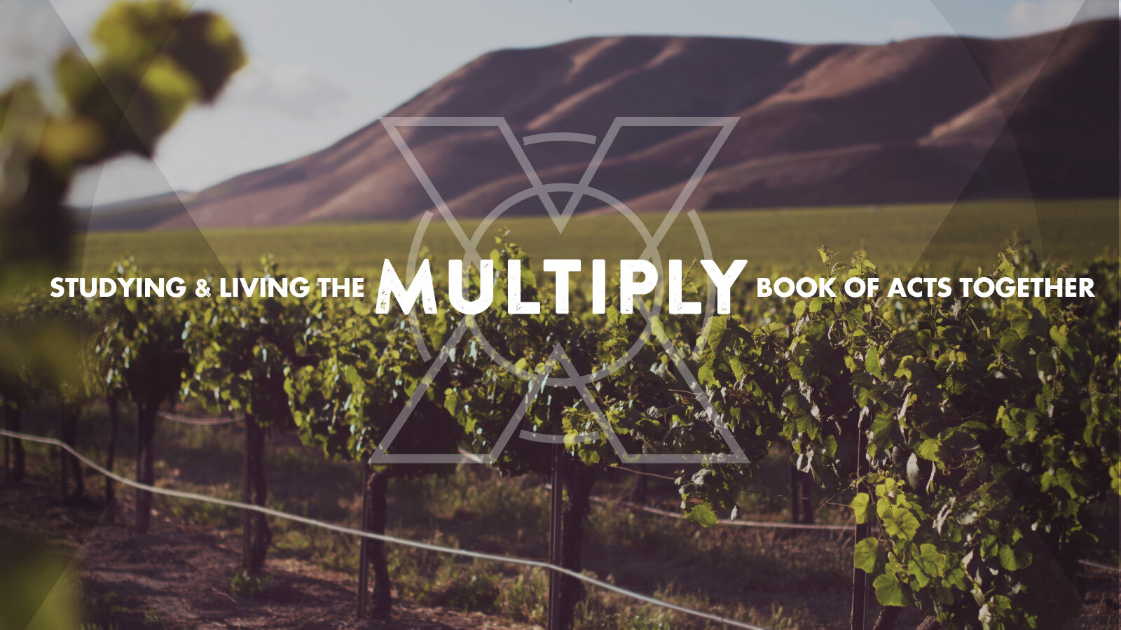 Series: Multiply