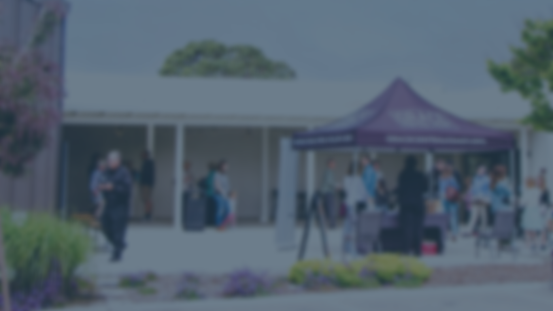 Website Banners (2).png