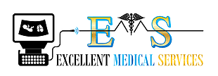 Logo.EMS.png