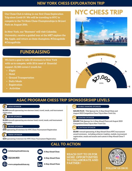 Projects — A Step Ahead Chess