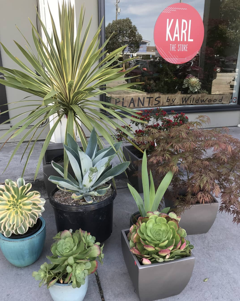 Screen Shot 2019-05-23 at 1.38.39 PM copy.png