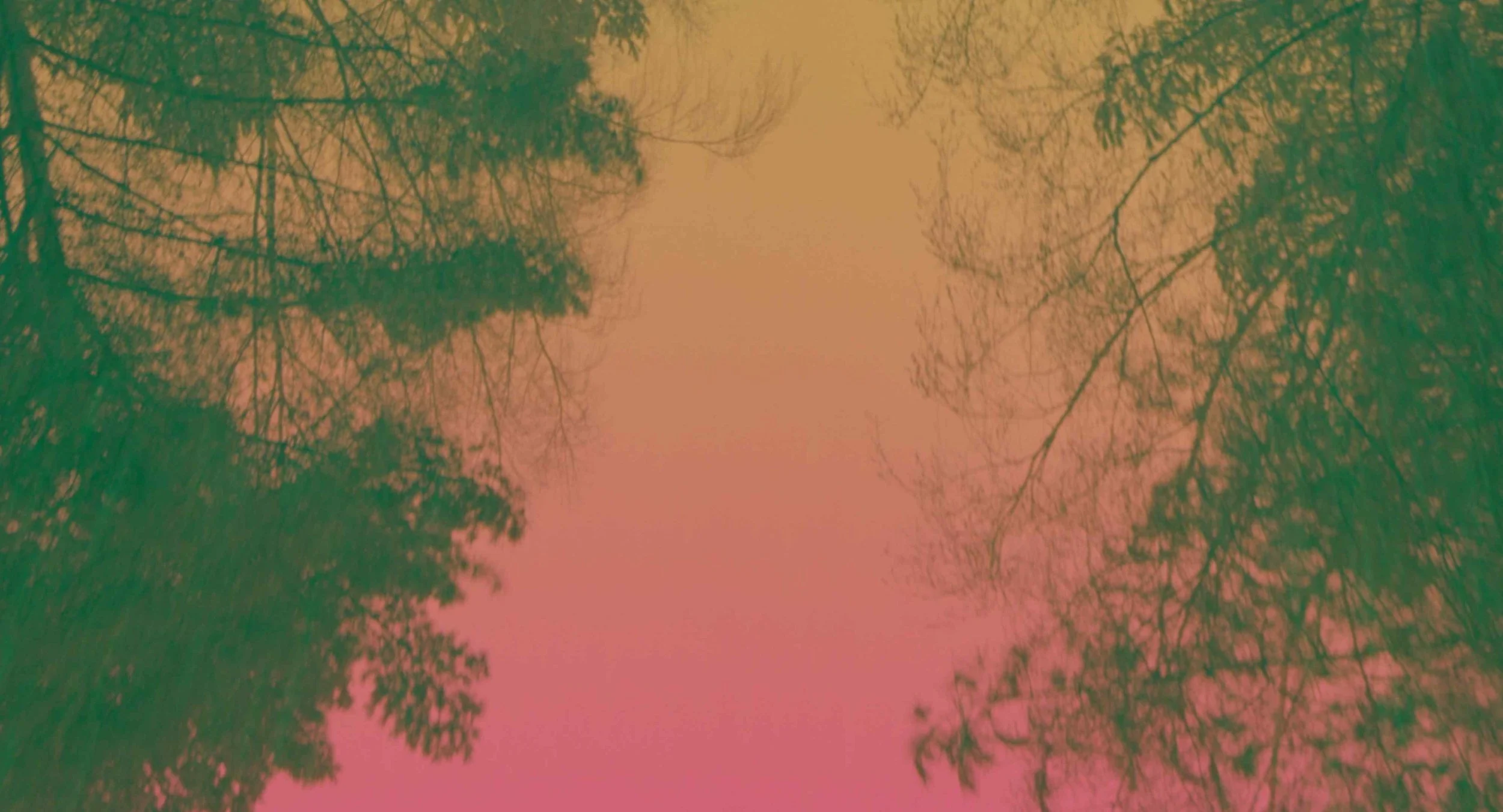  LUCA Feature documentary Producer  BAFTA nominee (2022) - Outstanding Debut  BIFA nominee (2021) - Best Documentary  Part biopic, part tour&nbsp;documentary,&nbsp;Keyboard Fantasies&nbsp;tells the time-travelling tale of cult musician Beverly Glenn-