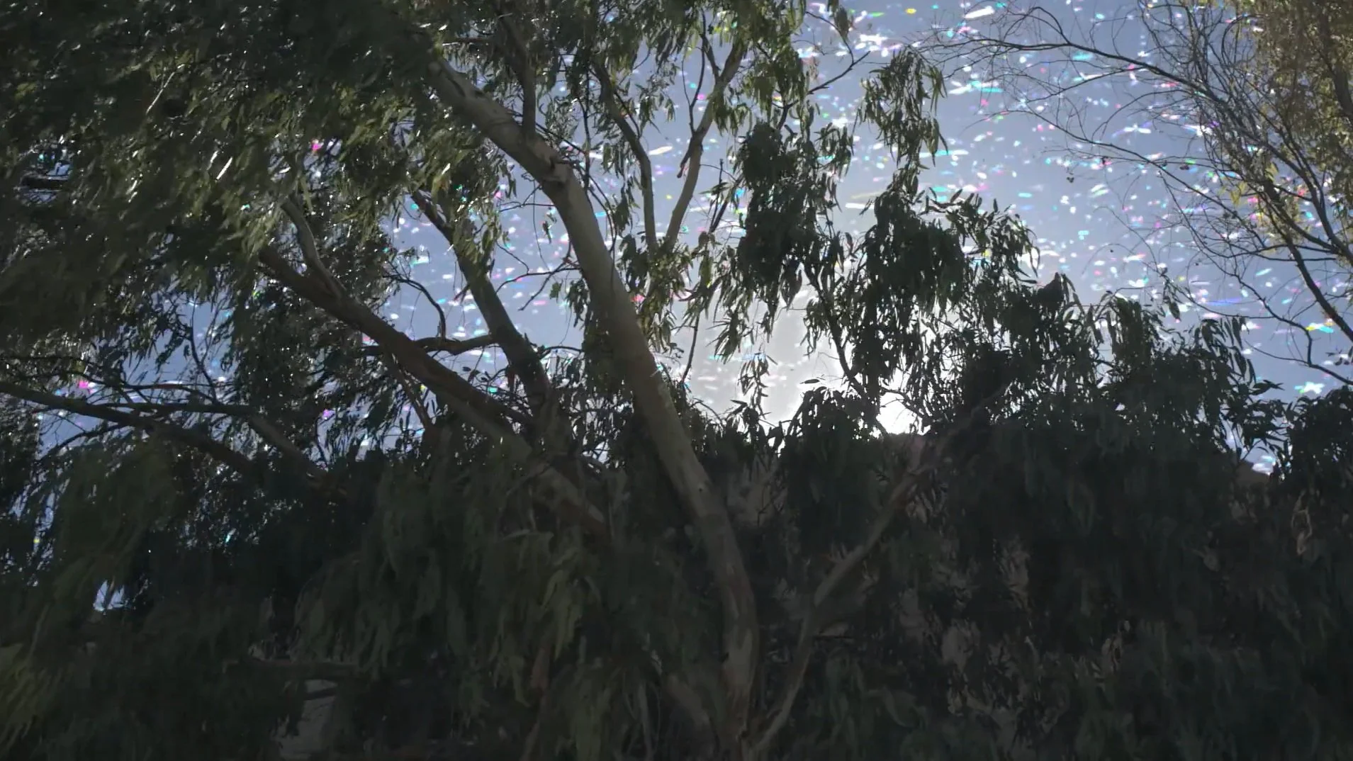  Melissa 6’ Producer  Experimental short charting the inner workings of mixed media artist Natalia Stuyk.  Director: Posy Dixon Editor: Christian Sandino-Taylor DP: Lee Burnett, Bernardo Garcia Elguezabel Colourist: Emilio Pittier García Animations: 