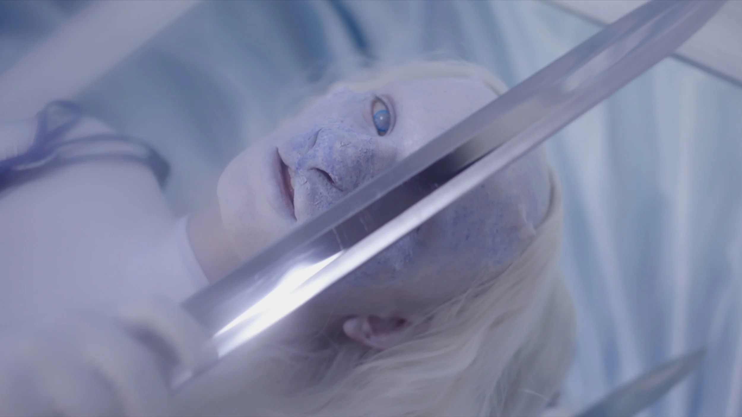 Salvia Angel's Egg 1.jpg