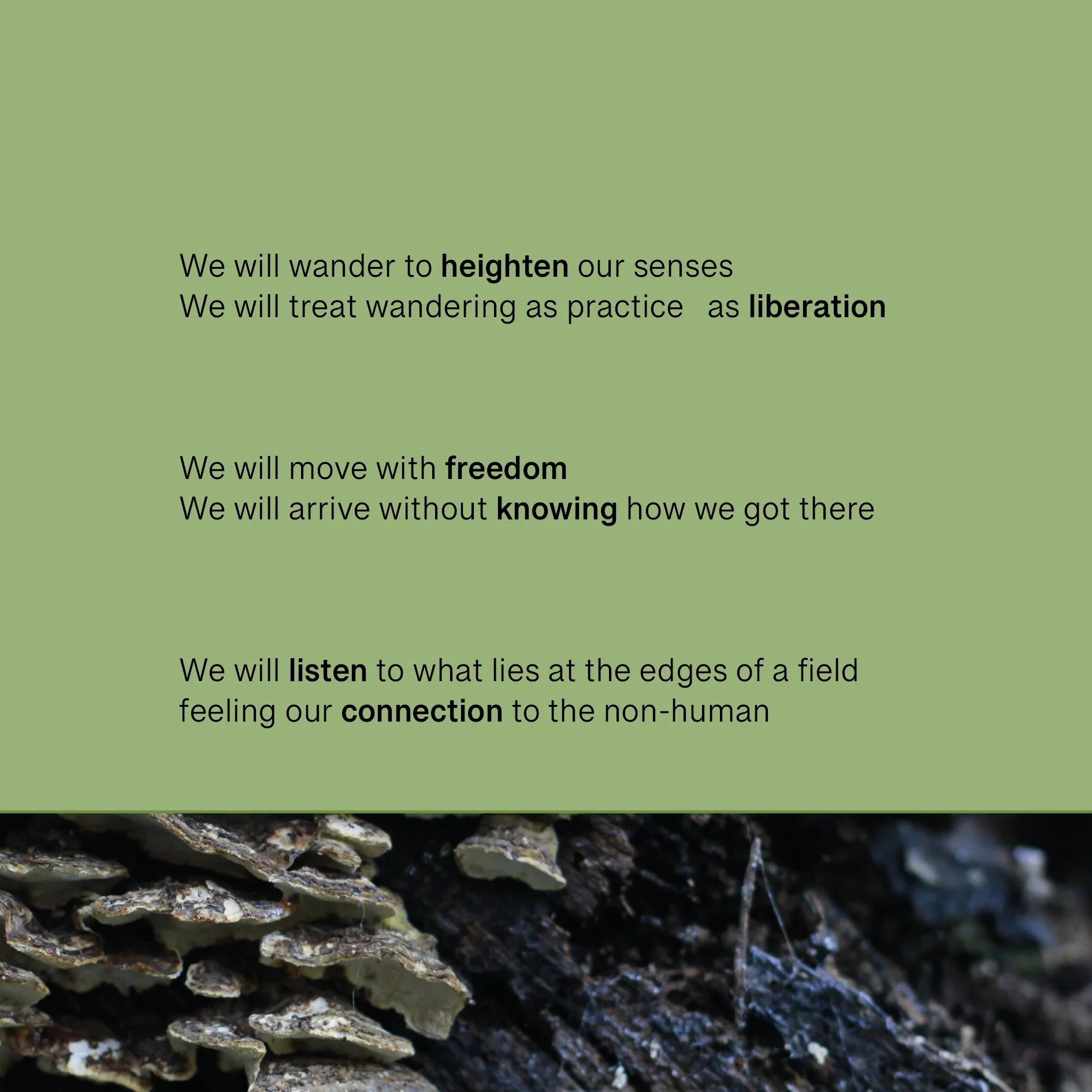 manifesto social media3.jpg