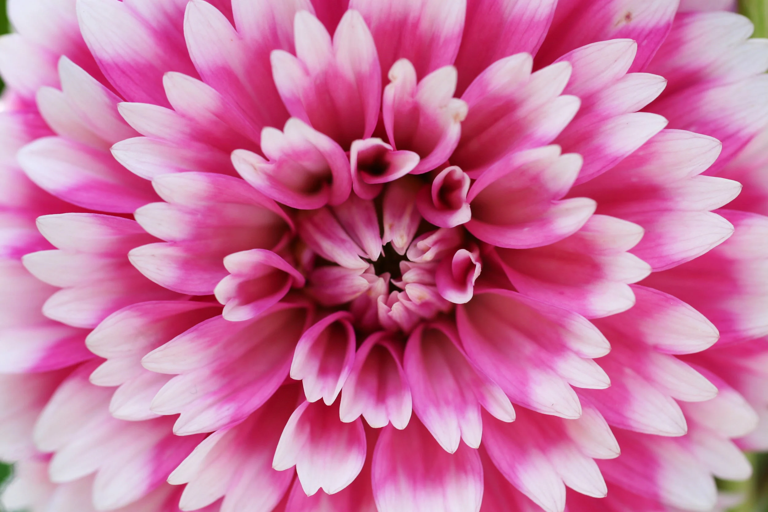 Experiencing life… without the ‘gram