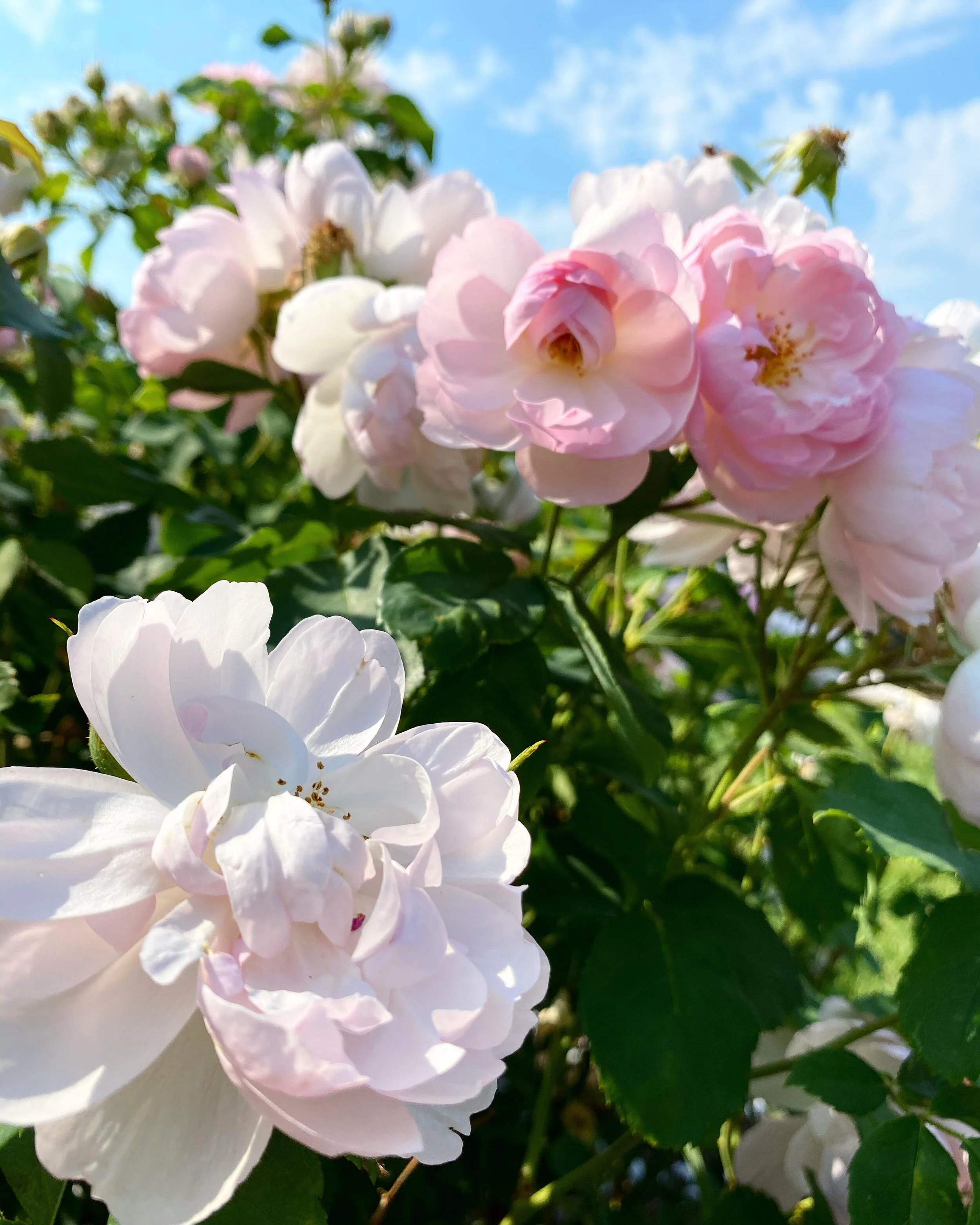 Are you betraying yourself?