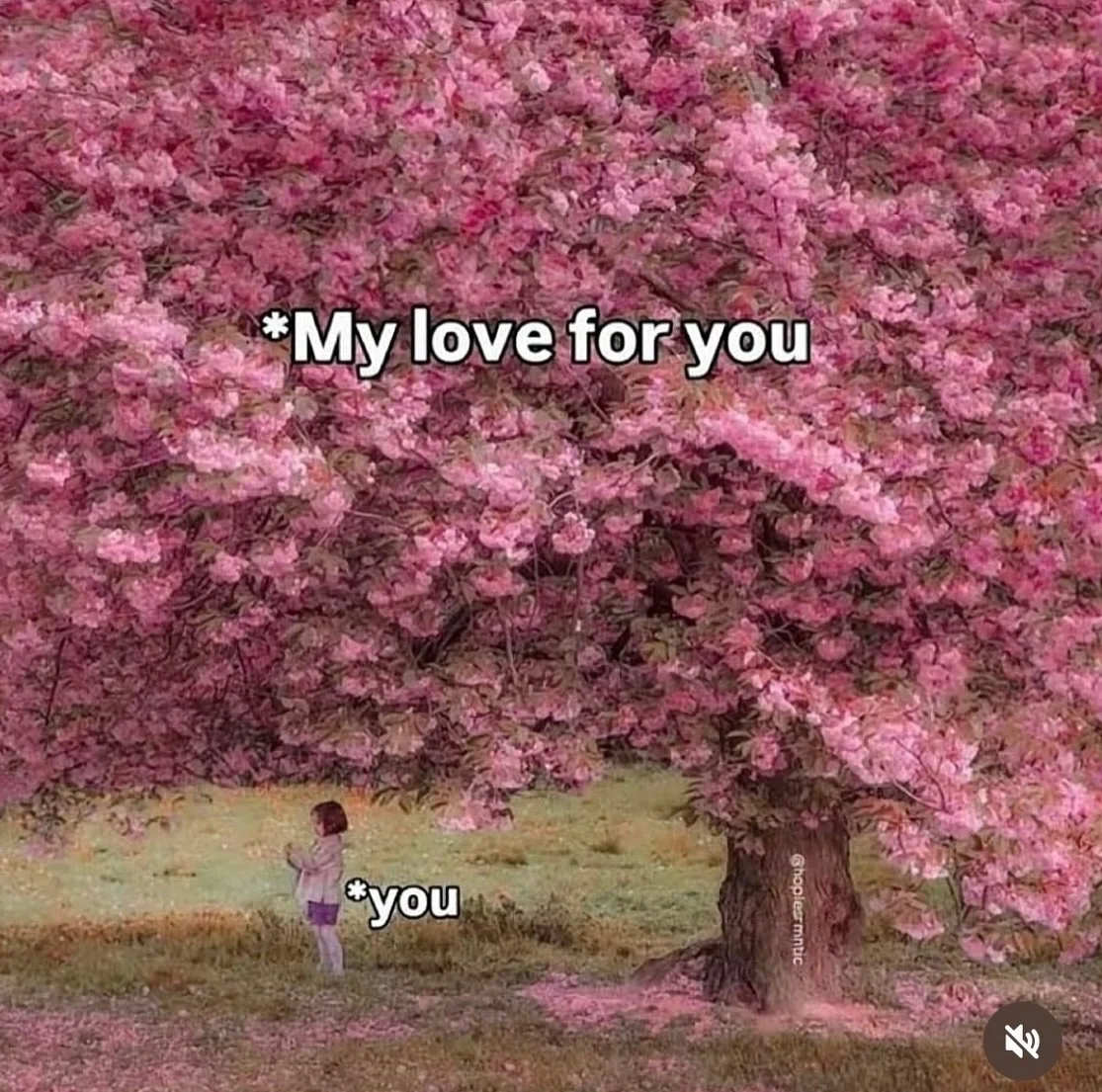 Well well well&hellip; 2025 was quite the year, wasn&rsquo;t it?

Dreams came true (gr&uuml;etzi Art Basel), nightmares came true (my storage with 10+ years of irreplaceable memories being stolen) and, just to up the ante on an already intense year, 