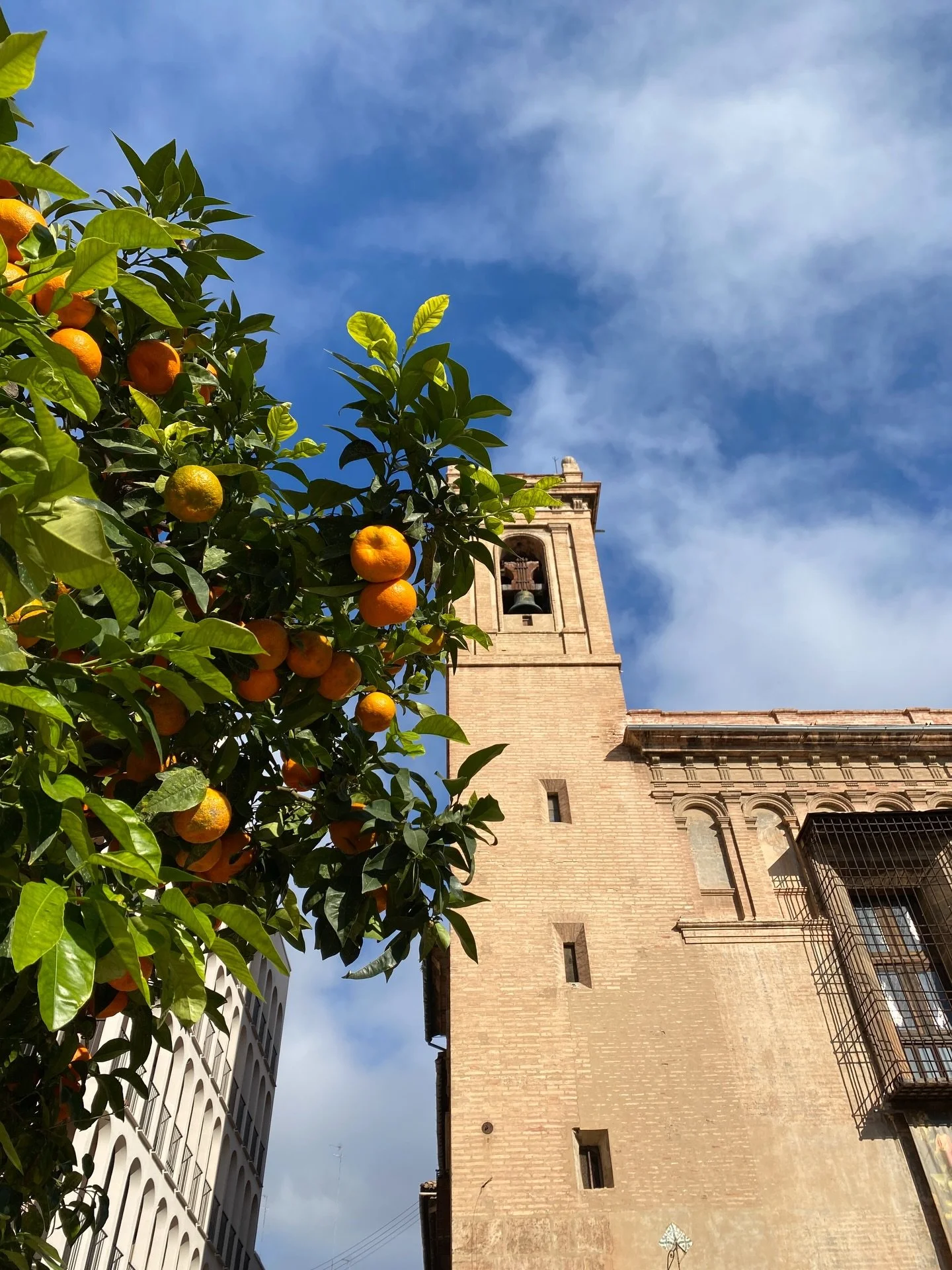 there is nothing like a change of air to spark fresh curiosity when i&rsquo;m feeling lacklustre or low on inspiration. my winter escapade to valencia was filled with paella, sweet oranges, amazing old/new architecture and moments that reminded me wh