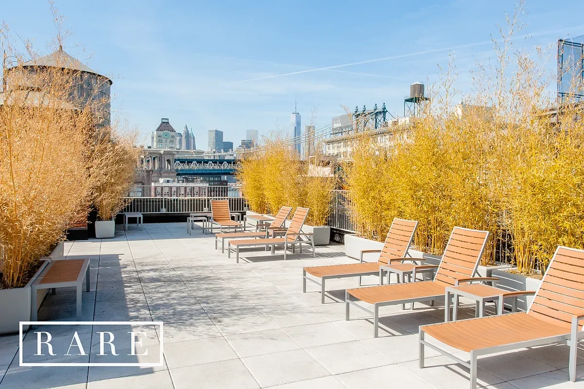 Patio.webp