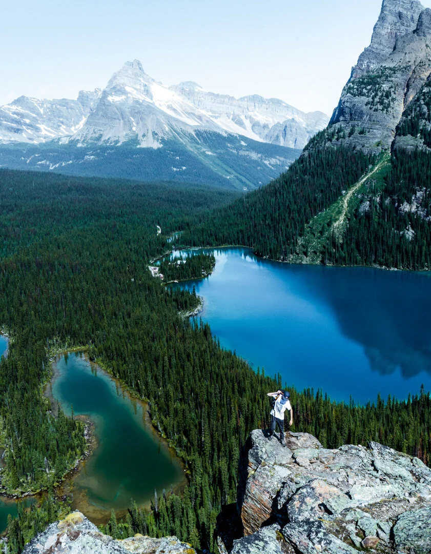 Social Made Local Campaign.JPEG